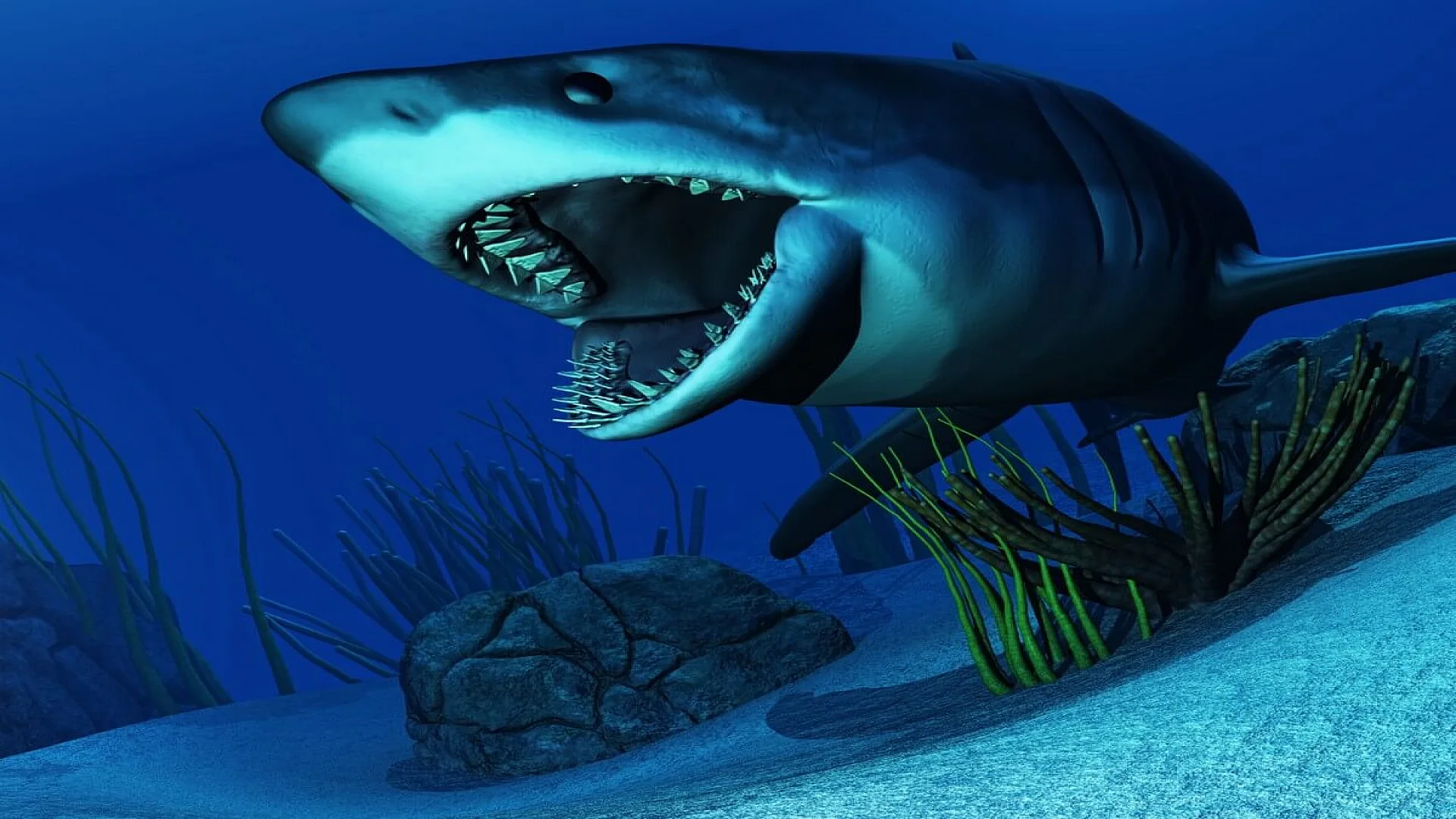 White shark swimming in ocean.
