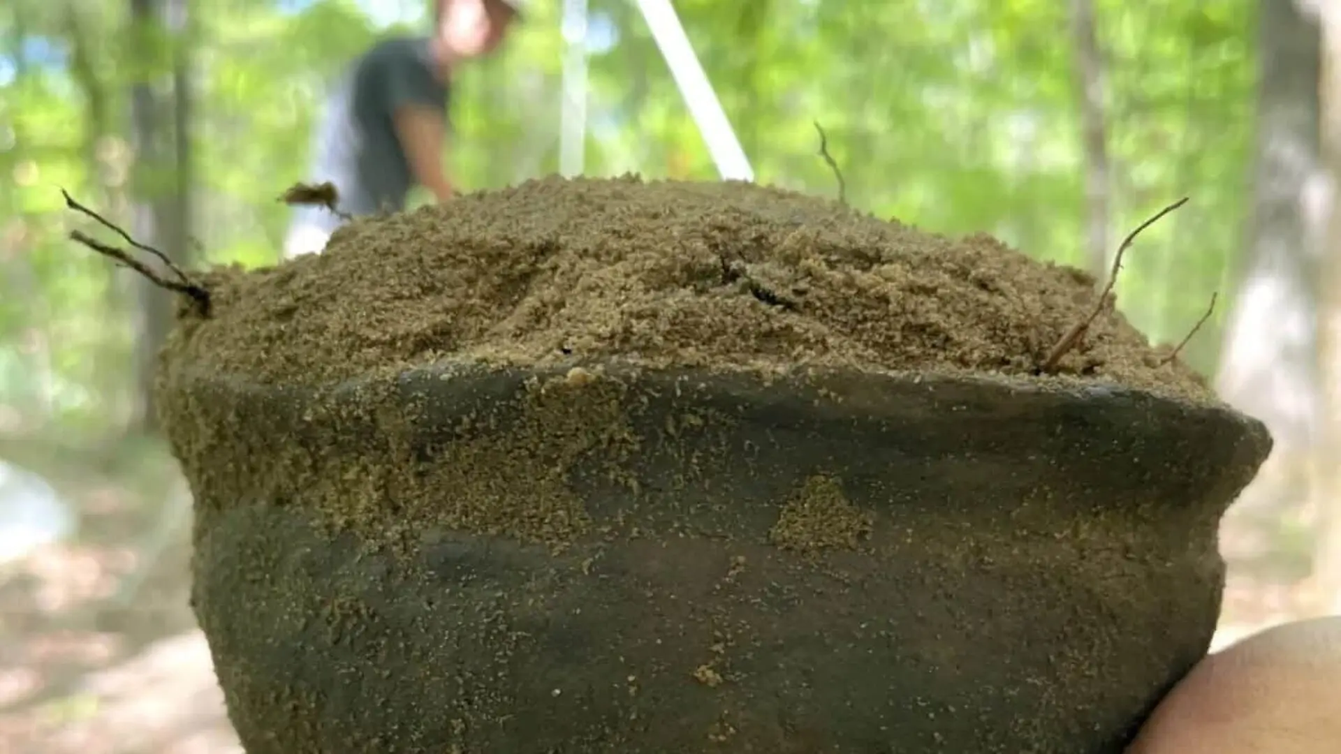 Archaeologists Found A Perfectly Intact 400 Year Old Pot In Florida And No One Can Explain Why It Was Buried Scaled