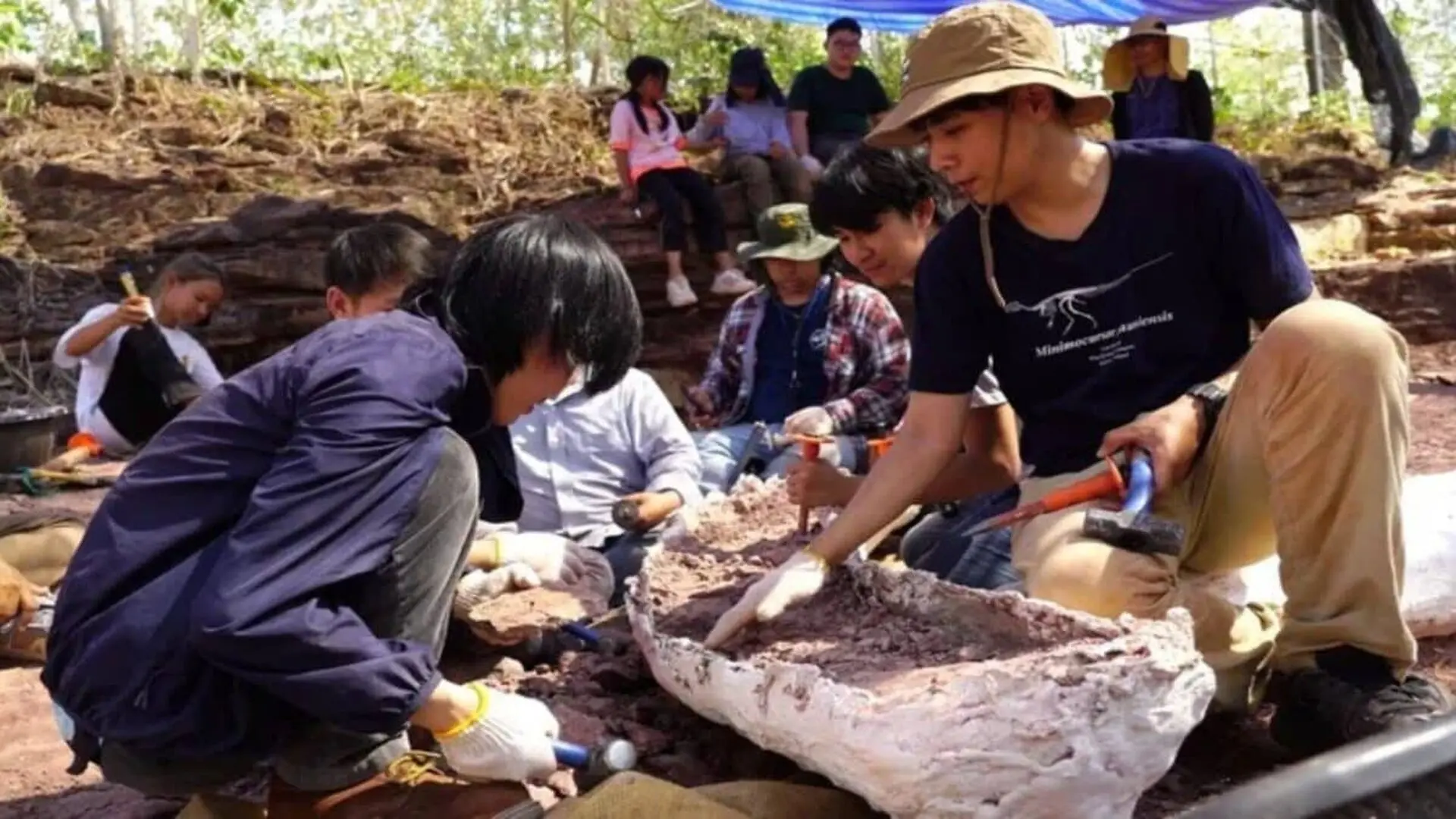 Scientists Uncover Fossils Near A Public Pond Revealing A 30 Ton Giant Dinosaur That Once Dominated Ancient Thailand Scaled