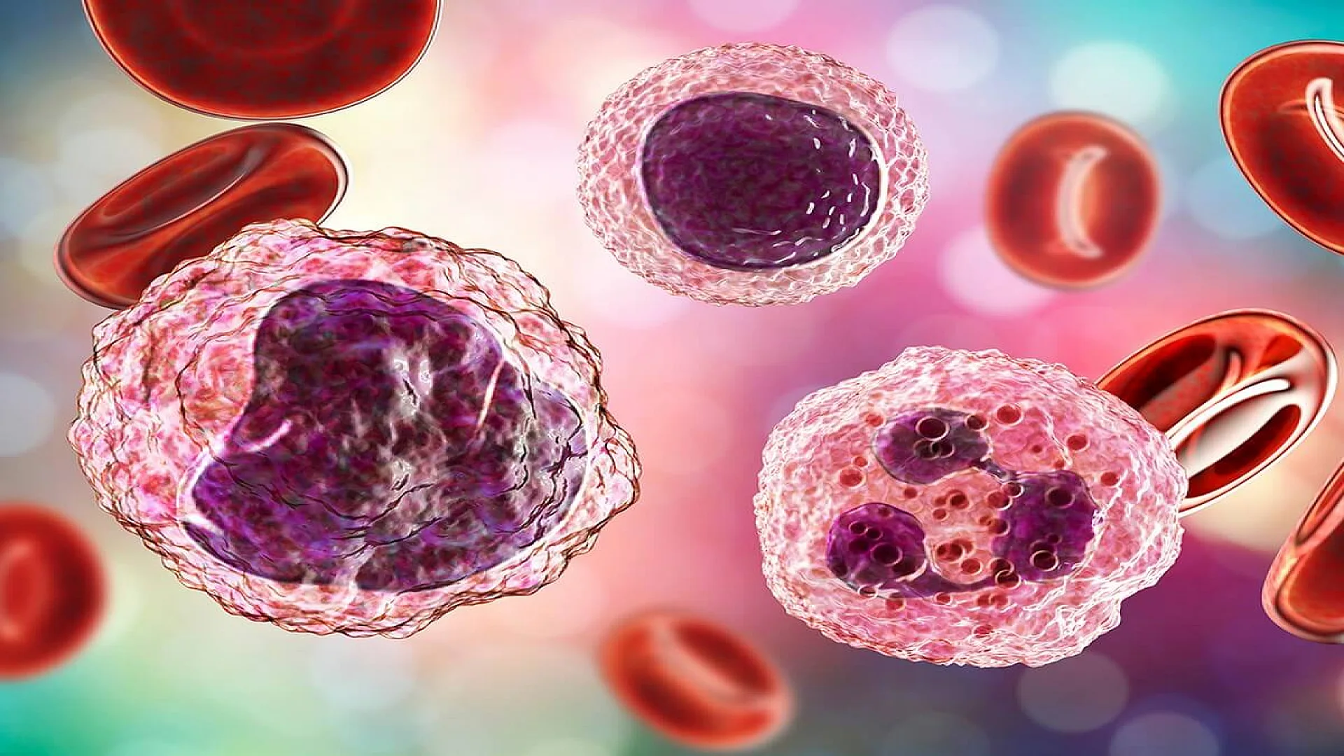 White and Red Blood Cells in Blood Sample