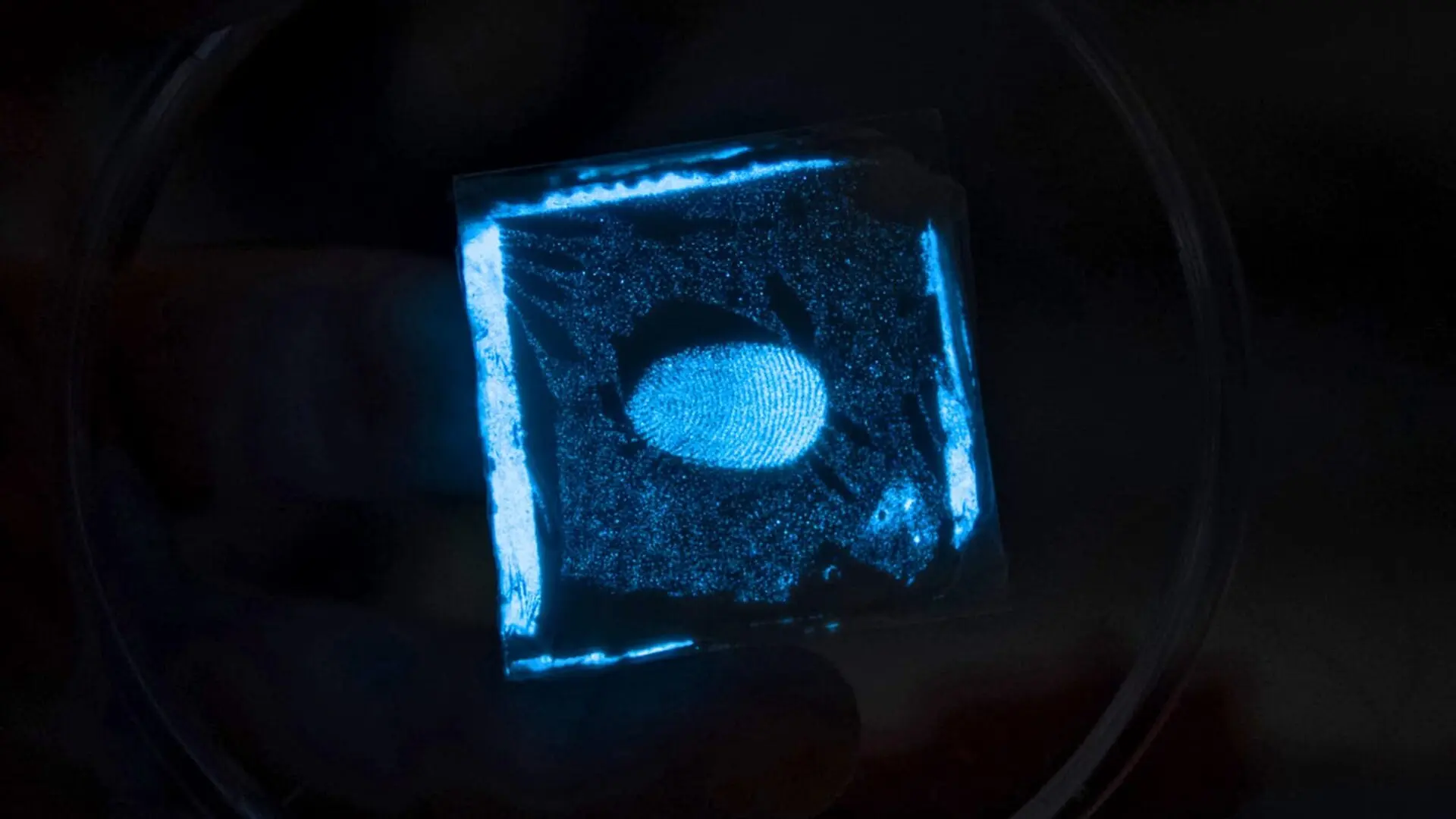 A fingerprint lights up blue on a small square of the new electronic skin.