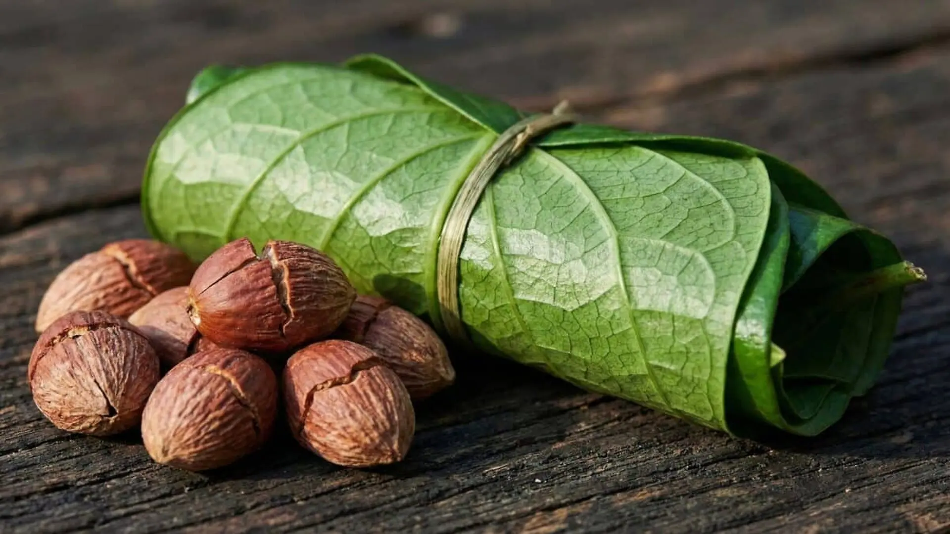 The First Human High May Have Come From These Ancient Nuts Not Alcohol Scaled