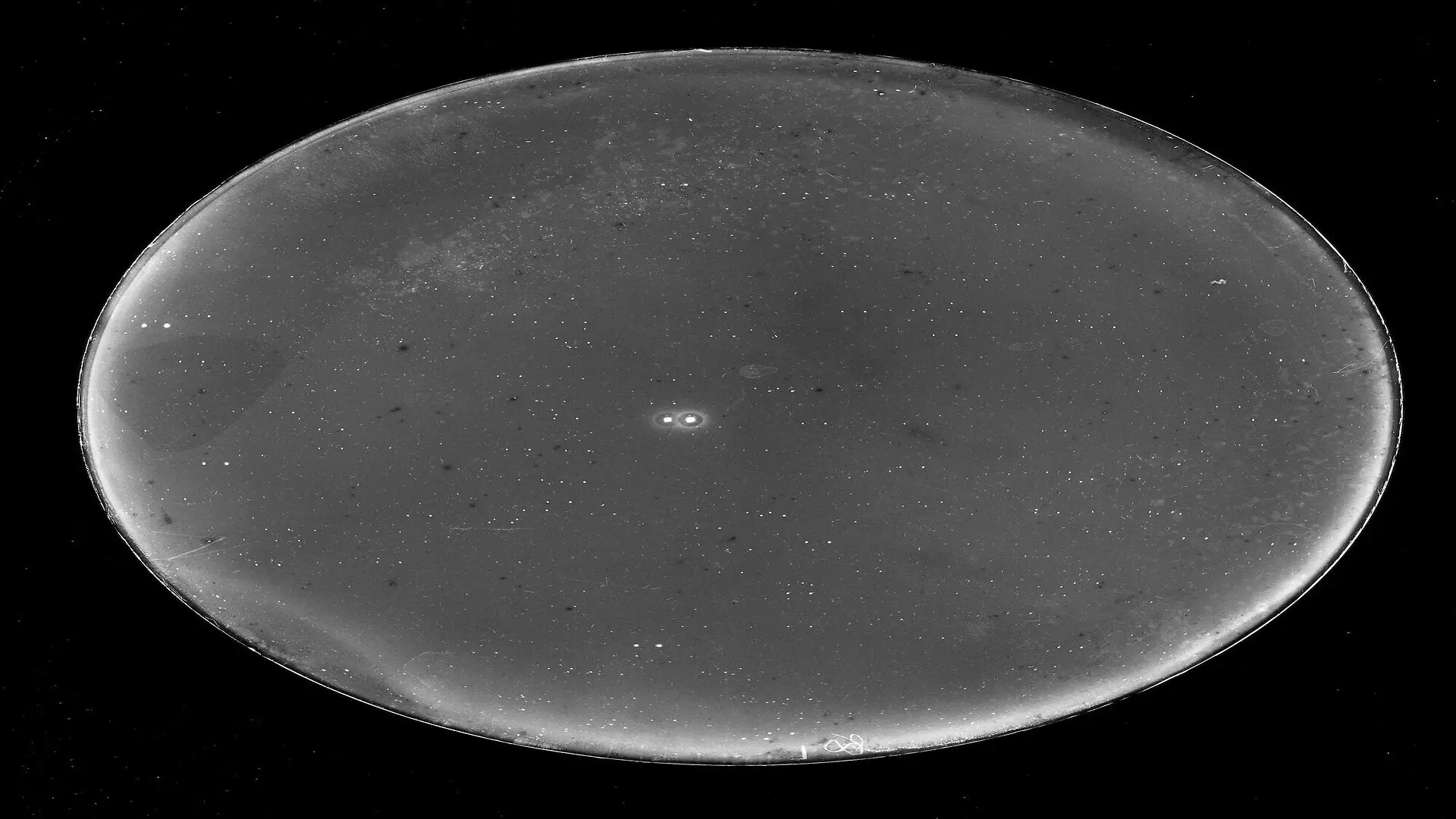 Binary Star 1