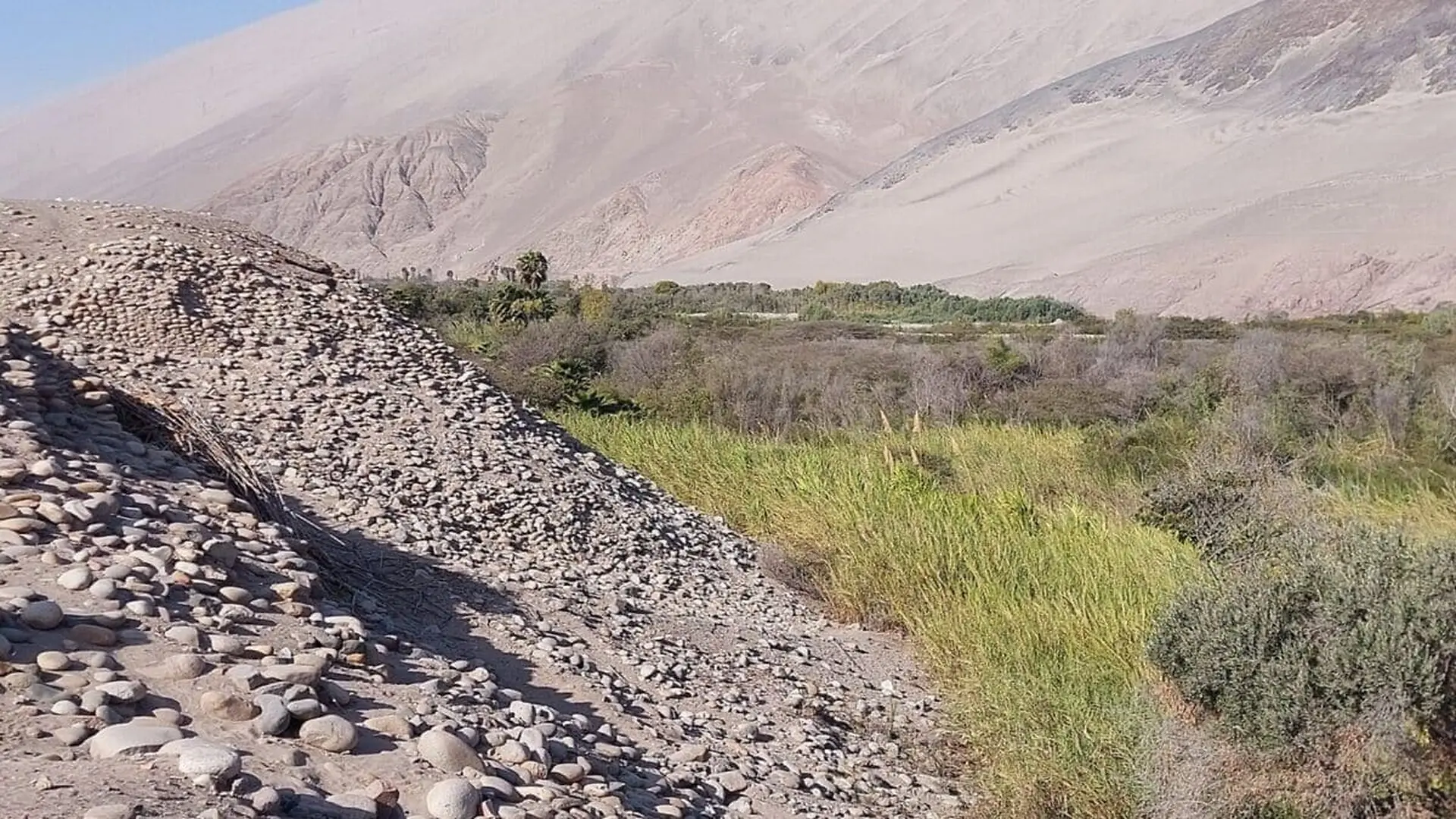 The Ancient Potato Trick The Inca Used To Feed An Entire Empire Scaled