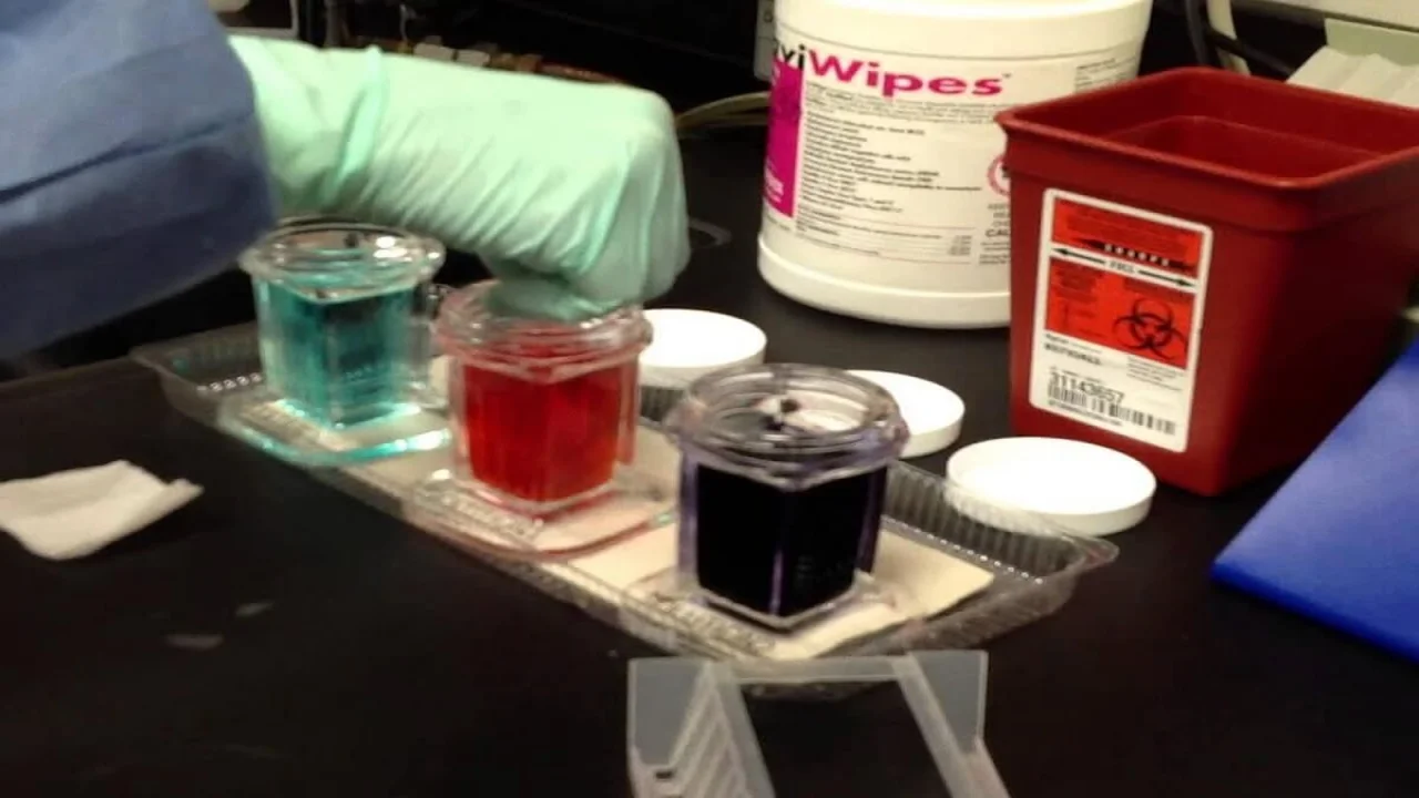 Wright Stain Preparation