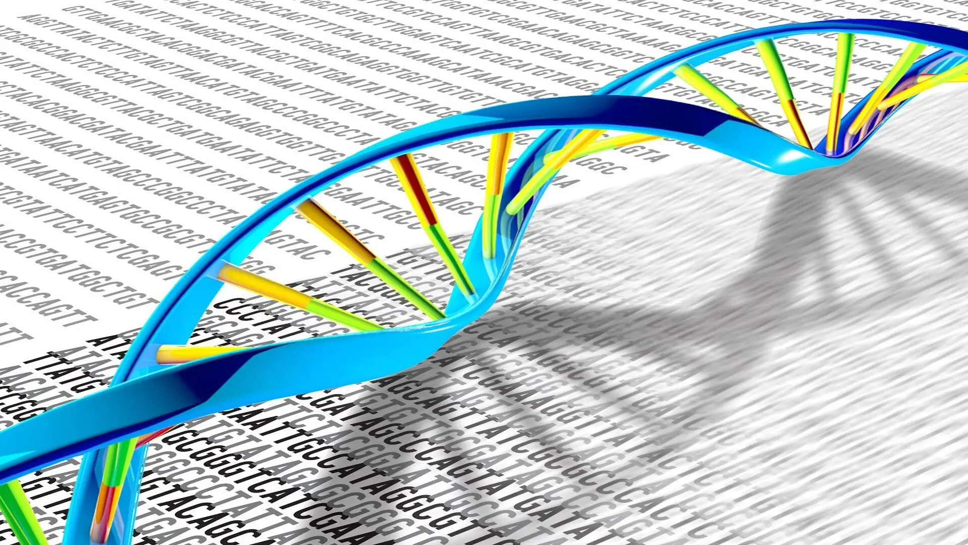 Strand Of Dna On Printout W Dna Letters