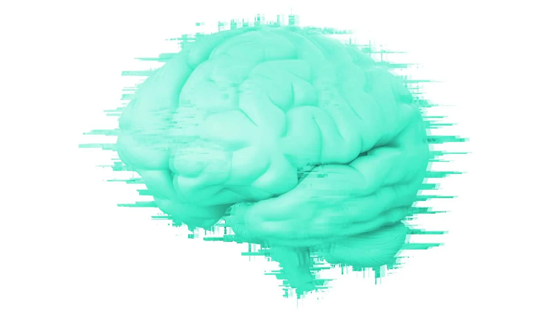 An image of a brain that
