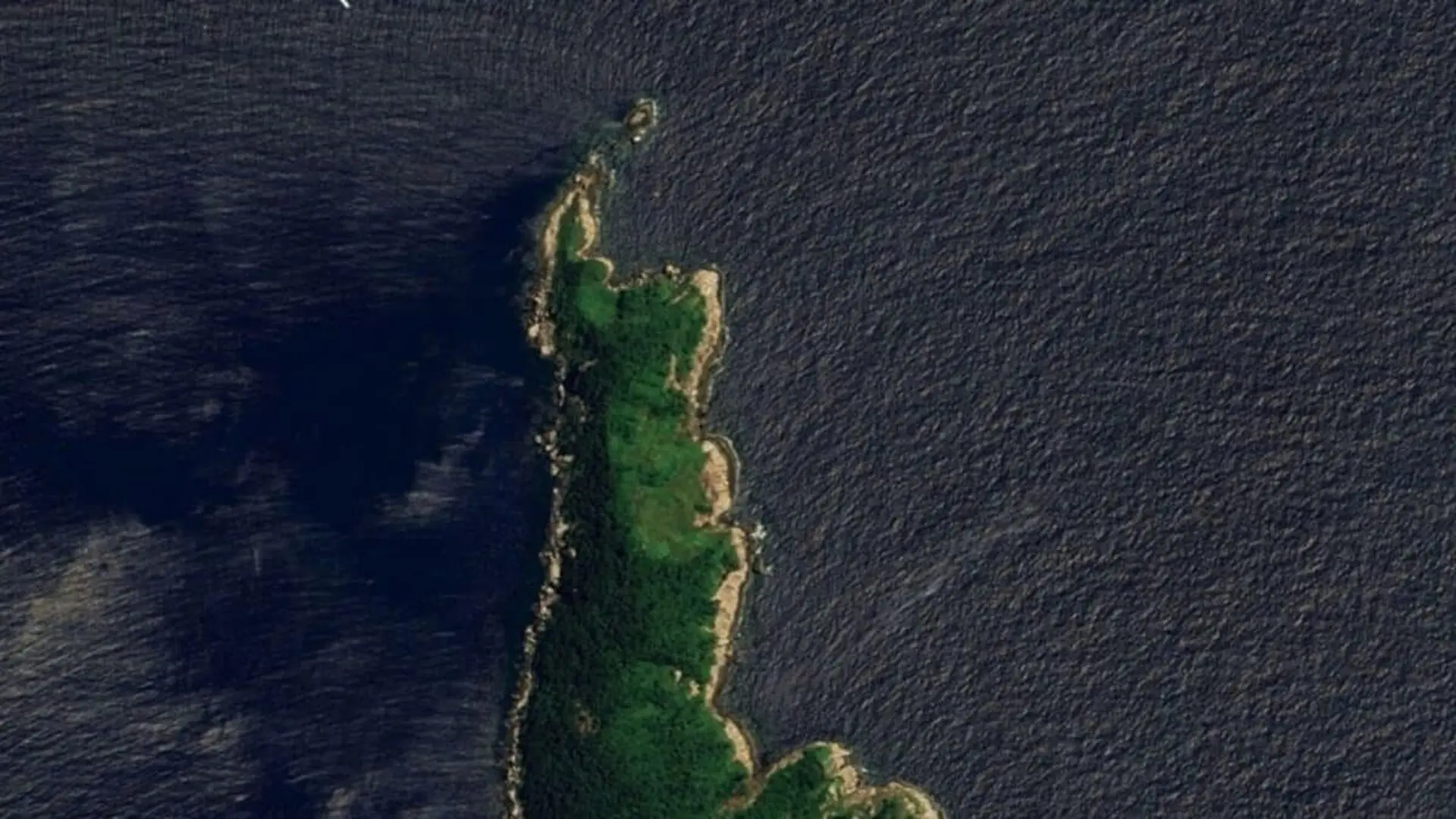Ilha Da Queimada Grande Scaled