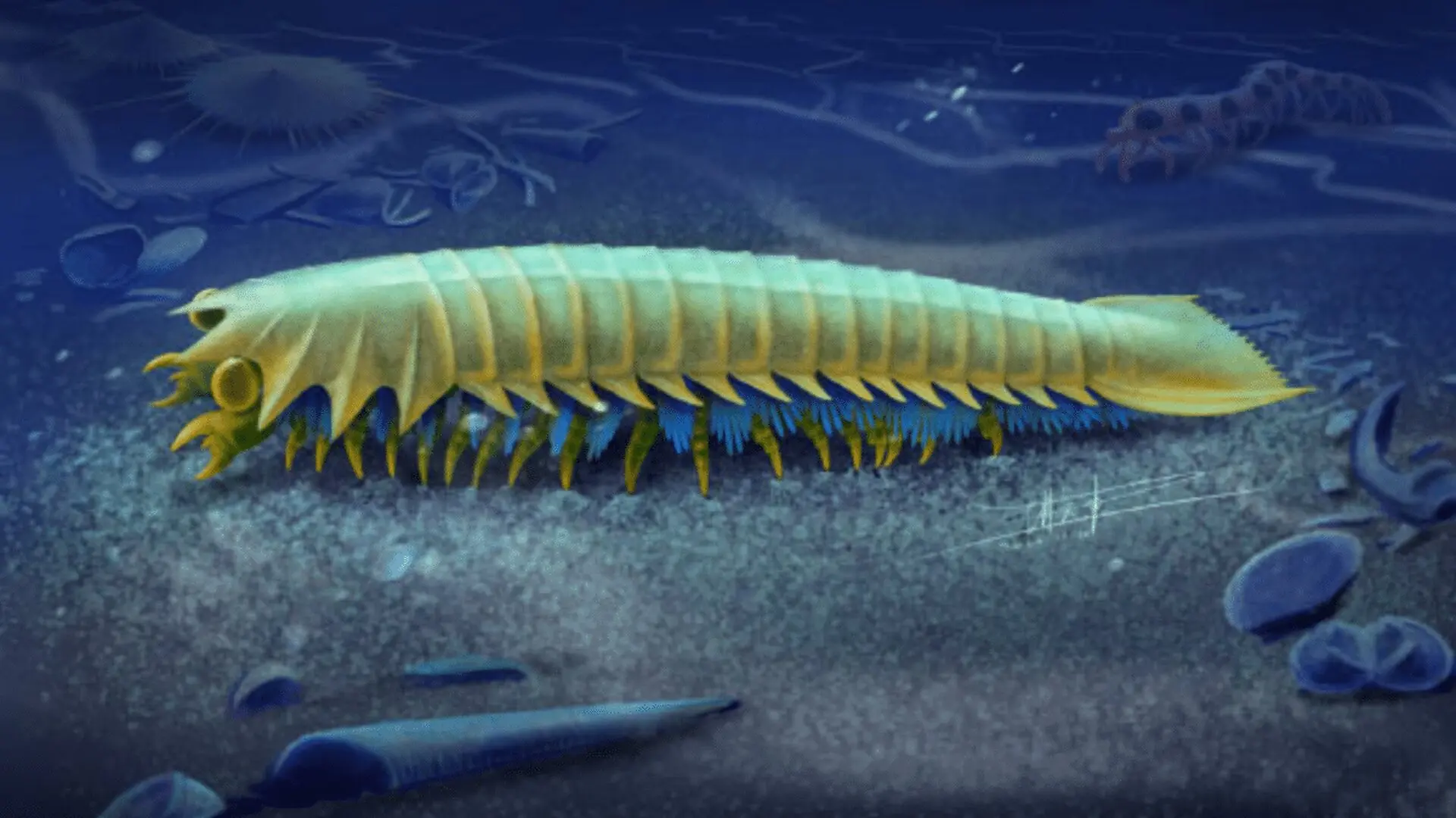 This 518 Million Year Old Fossil Reveals Where Spider Fangs First Began Scaled