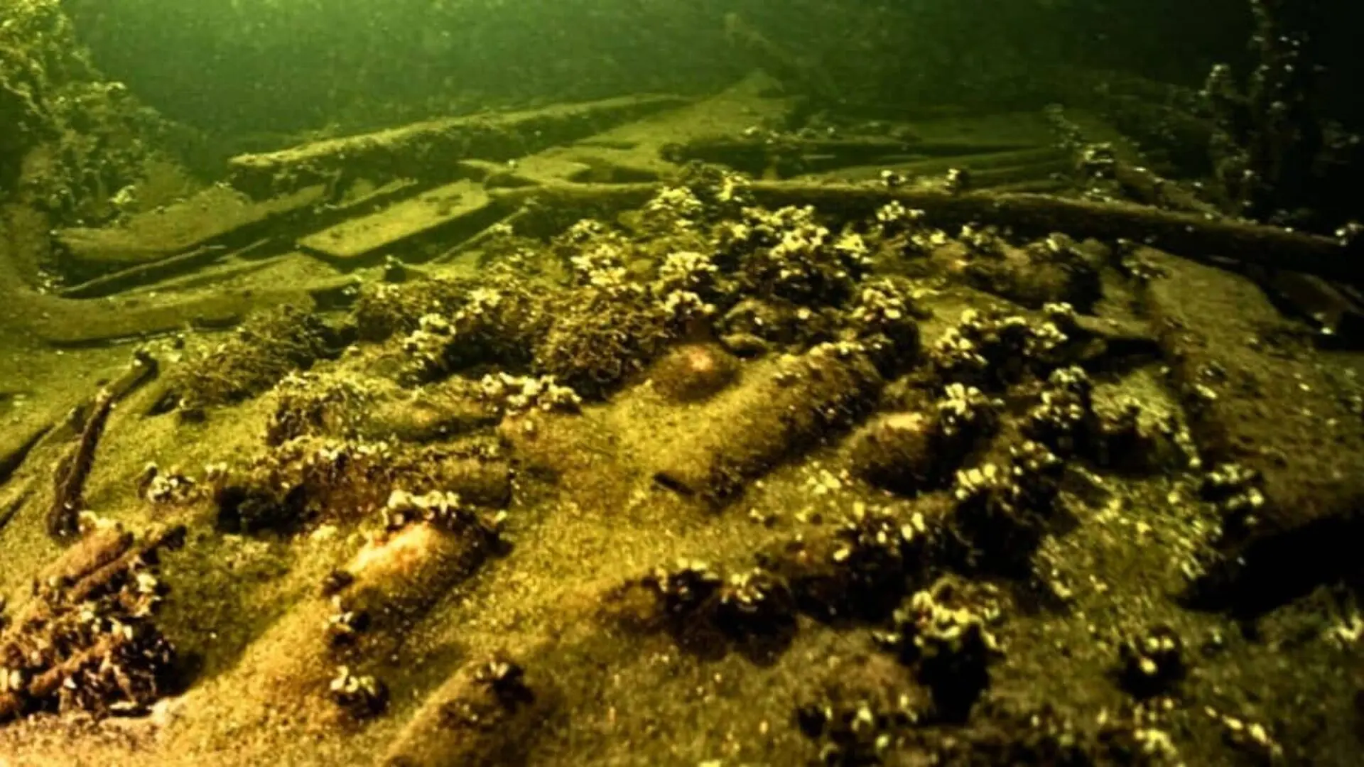 More Than 100 Champagne Bottles Were Found Inside A Baltic Shipwreck Scaled