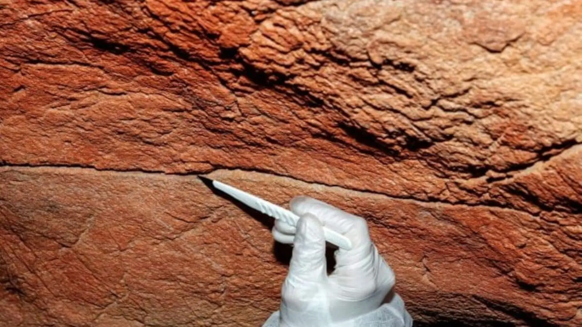 Scientists Found Ancient Human Dna On Cave Walls For The First Time And Some Came From Rock No One Ever Painted Scaled