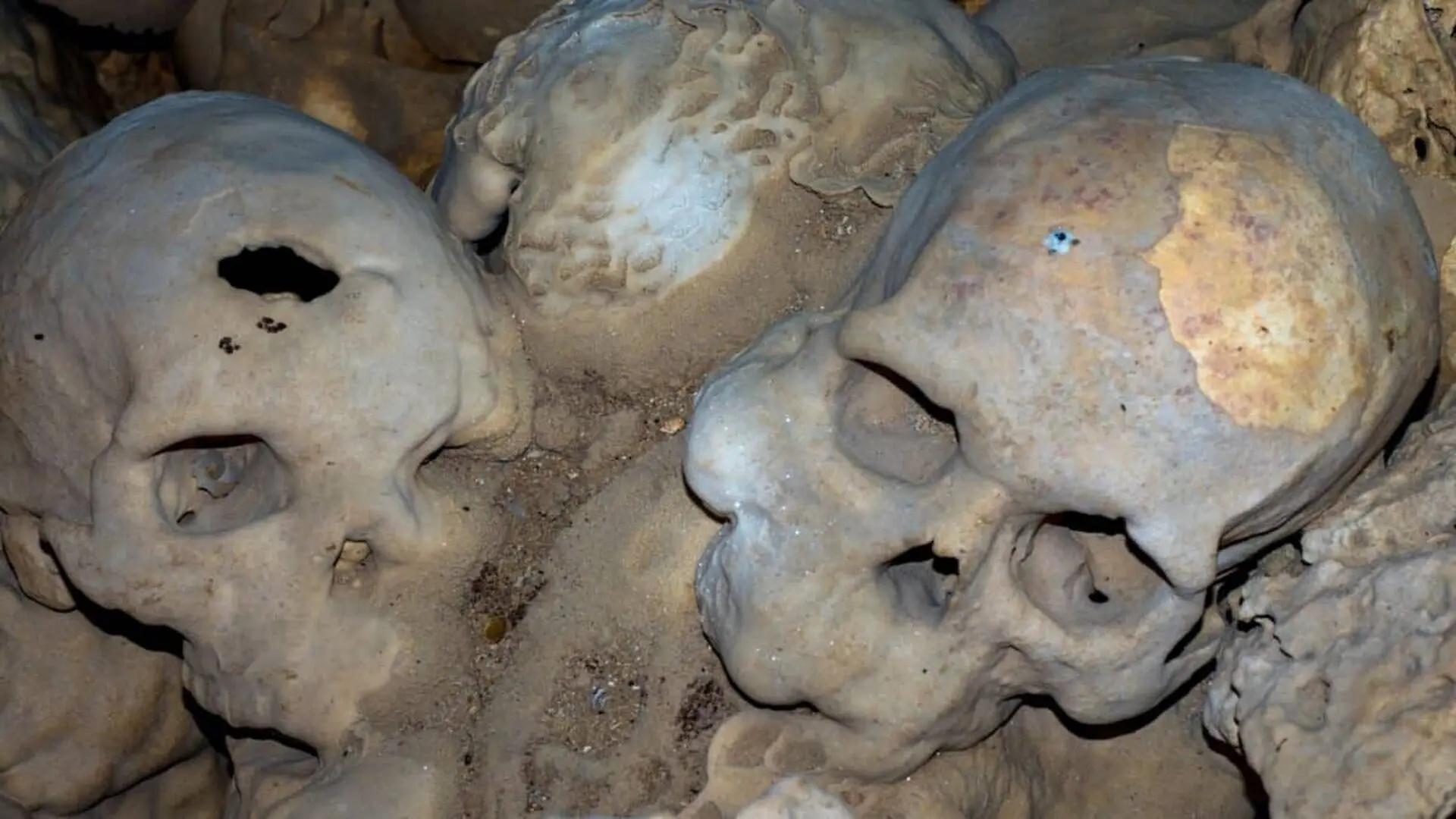 A Mathematical Model Explains Why Cannibalism Always Ends The Same Way Scaled