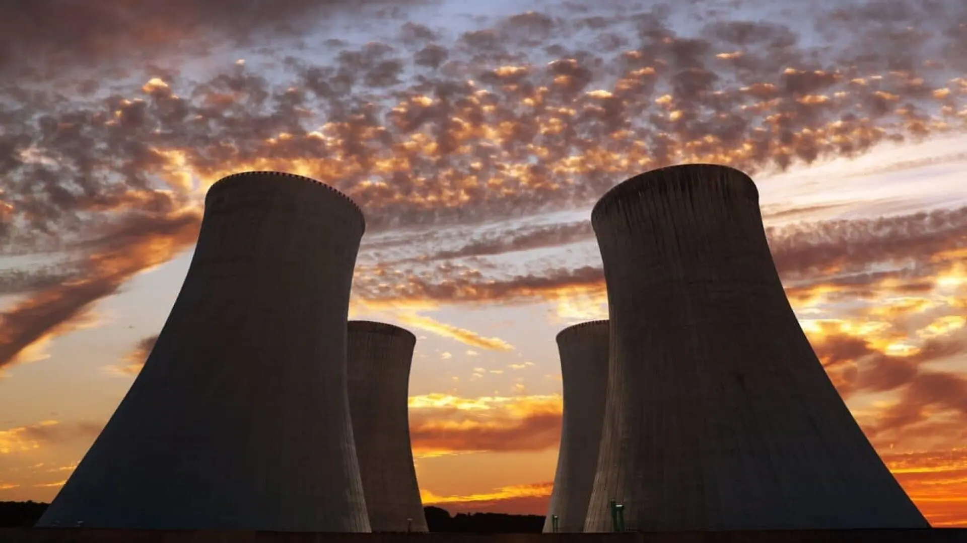 Jellyfish Just Shut Down A French Nuclear Reactor For The Second Year In A Row On The Exact Same Date Scaled
