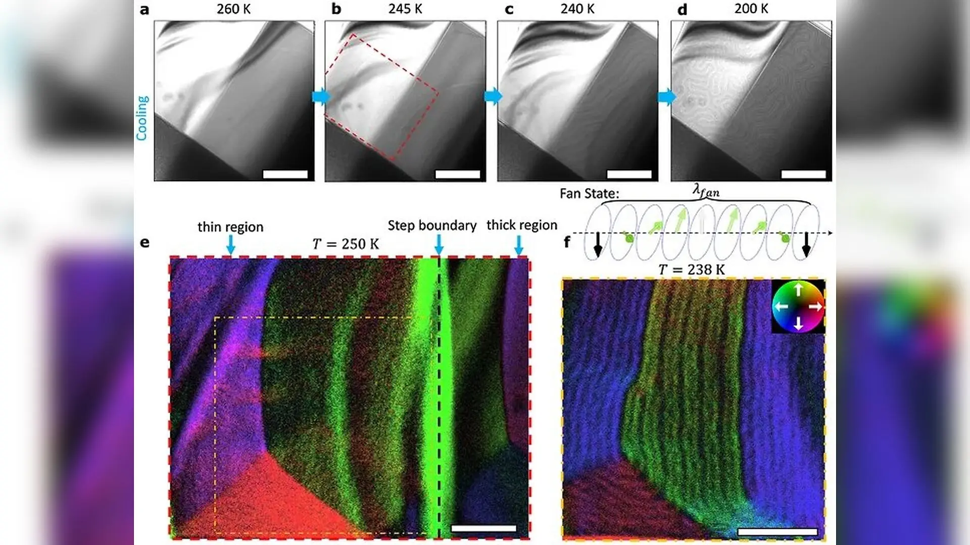 Engineers Design Skyrmion Bubbles in Centrosymmetric Magnets