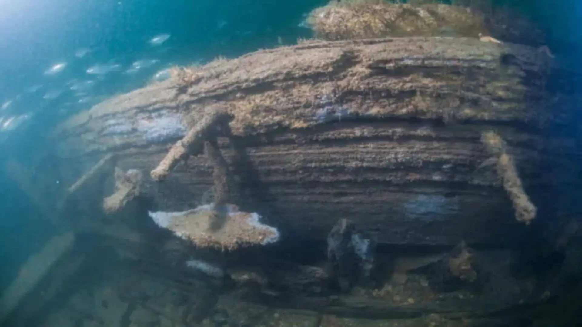 Divers Found A 162 Year Old Guinness Bottle Hidden In A Shipwreck Scientists Want To Know Whats Inside Scaled