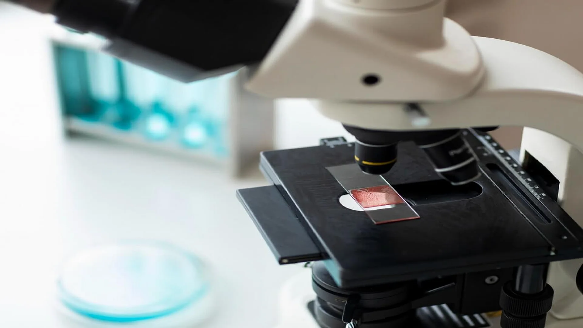 Close up microscope and glass slide.
