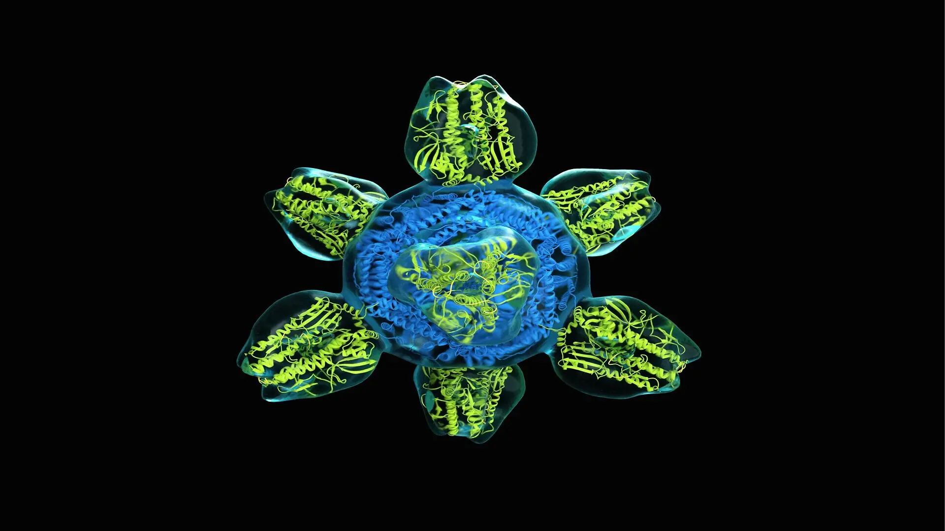 Universal Flu Vaccine Nanoparticle Illustration Scaled