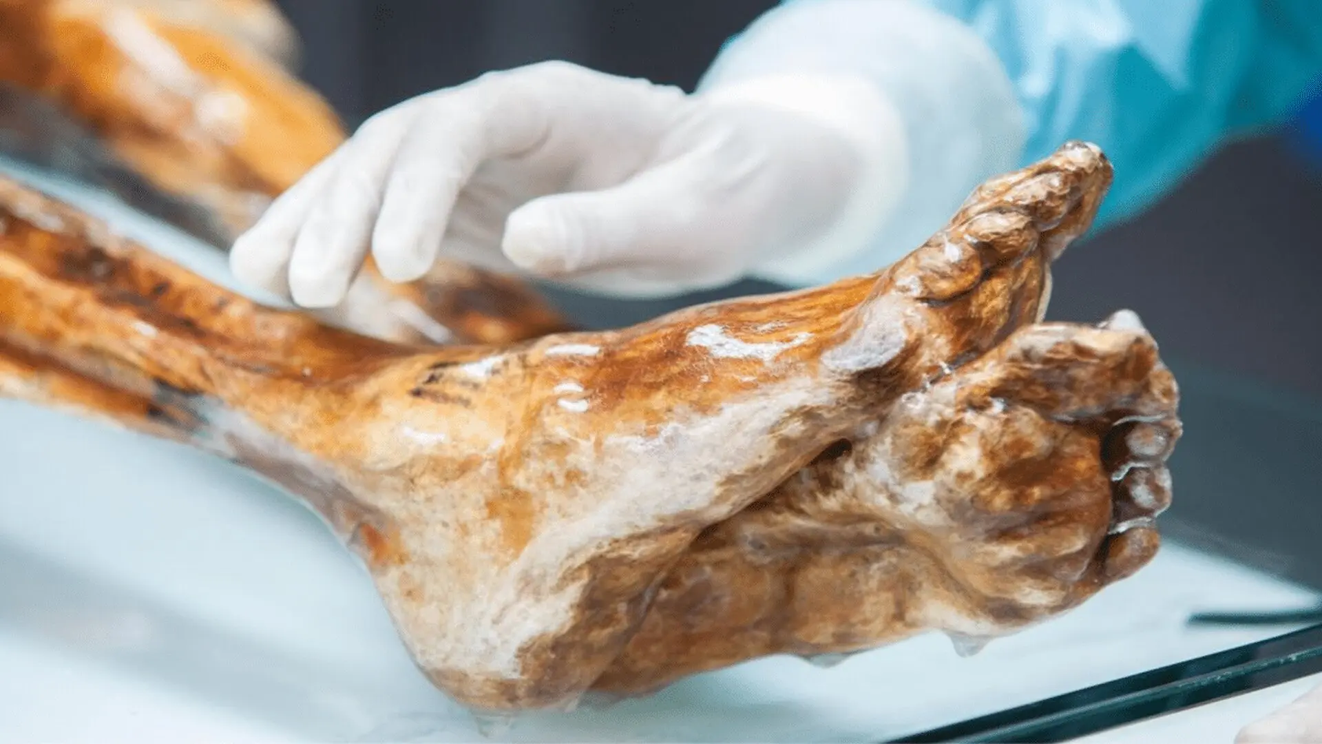 Scientists Baked Bread Using Yeast Hidden Inside A Year Old Mummy Scaled