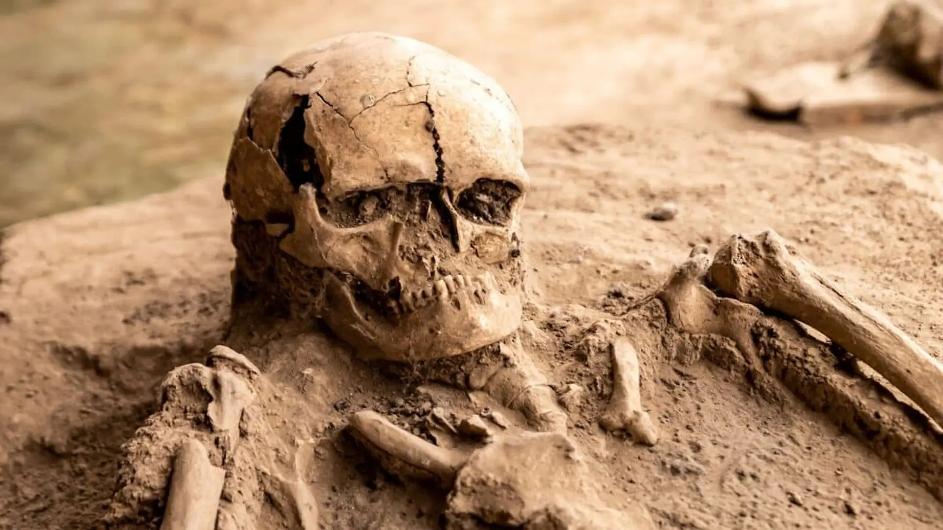 7000 Years Ago Something Strange Happened To Mens Dna Scientists Are Still Trying To Explain It Scaled