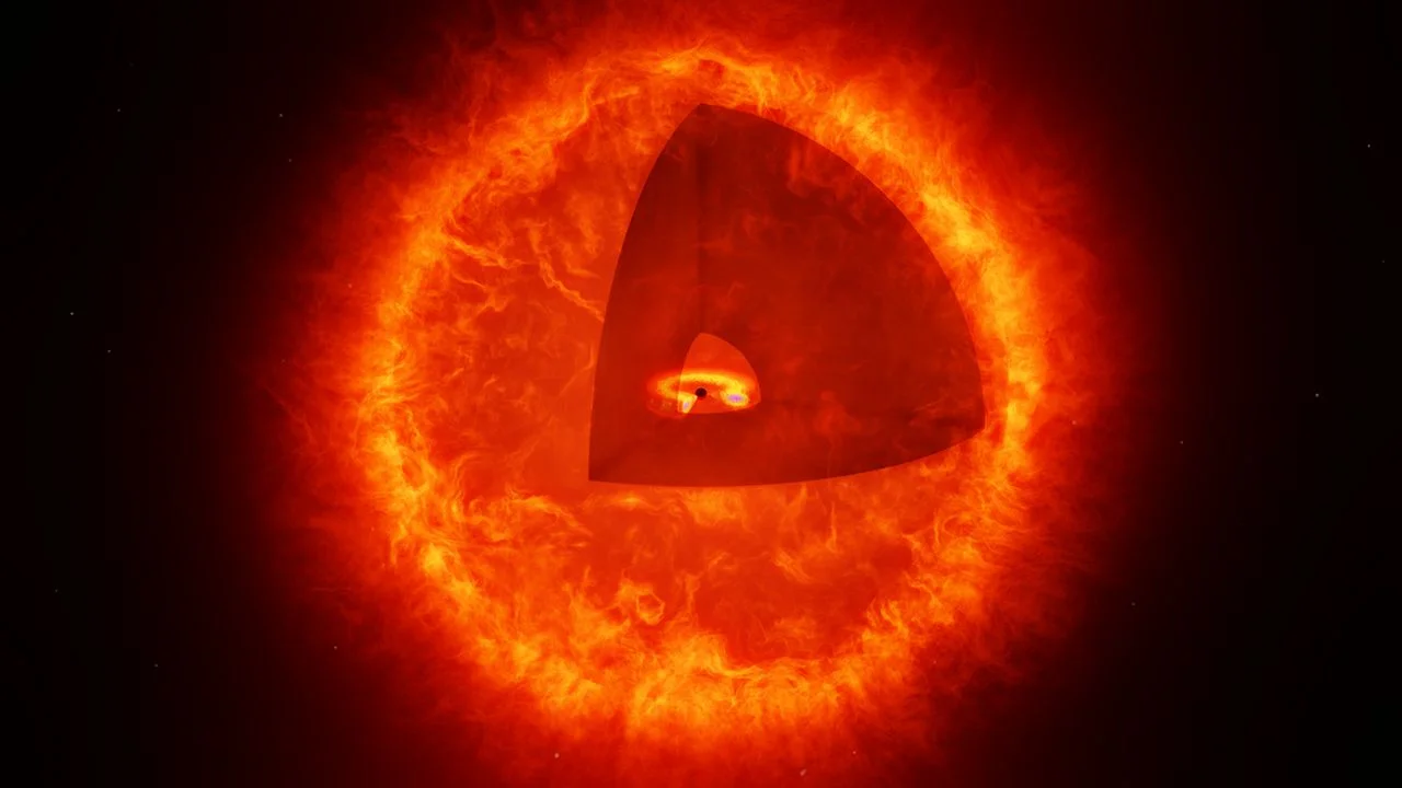 Giant star with black hole