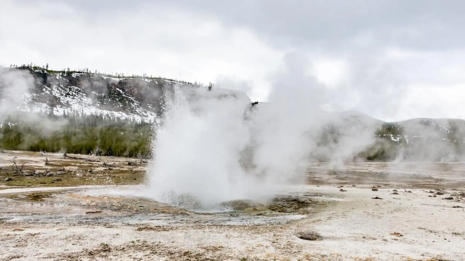 Eruption Of Jewel Geyser With Snow Capped Mountains And A Floral Background Biscuit Basin Yellowstone National Park Scaled