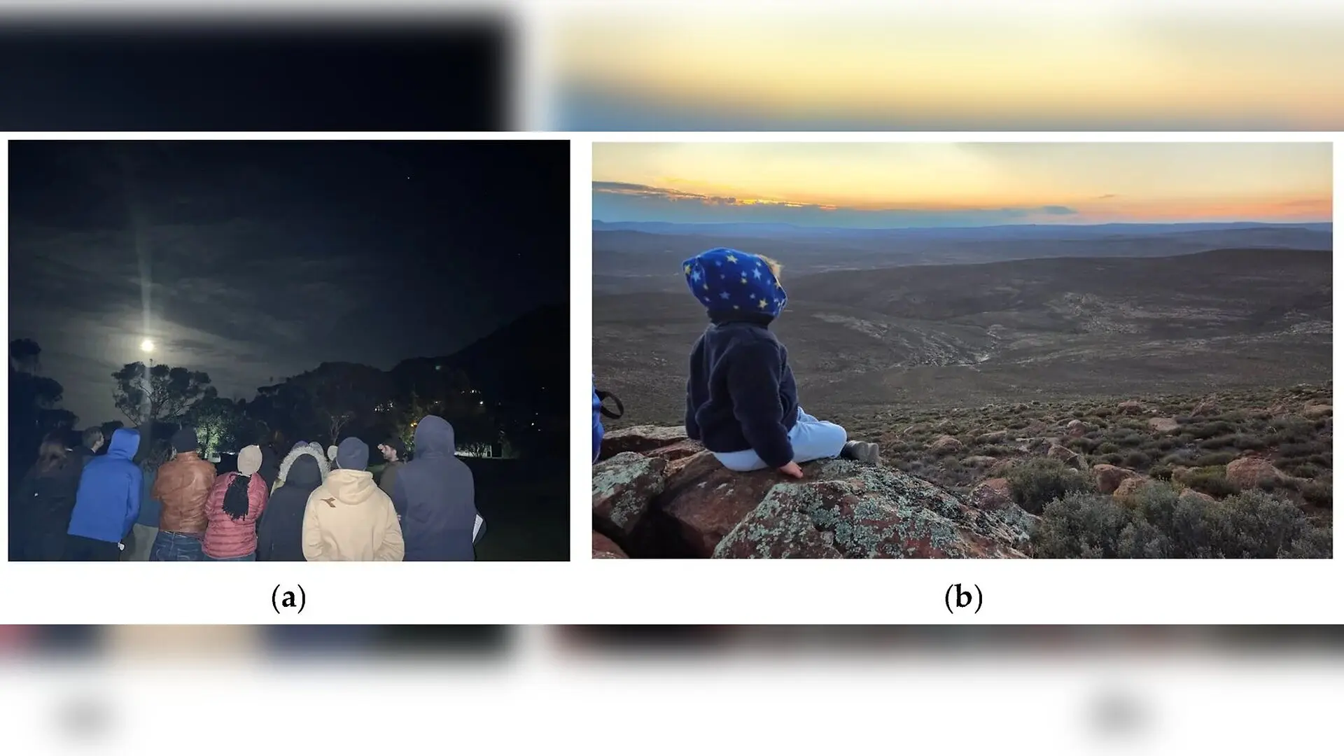 Stargazing Retreats Offer New Hope for Mental Health Support in South Africa