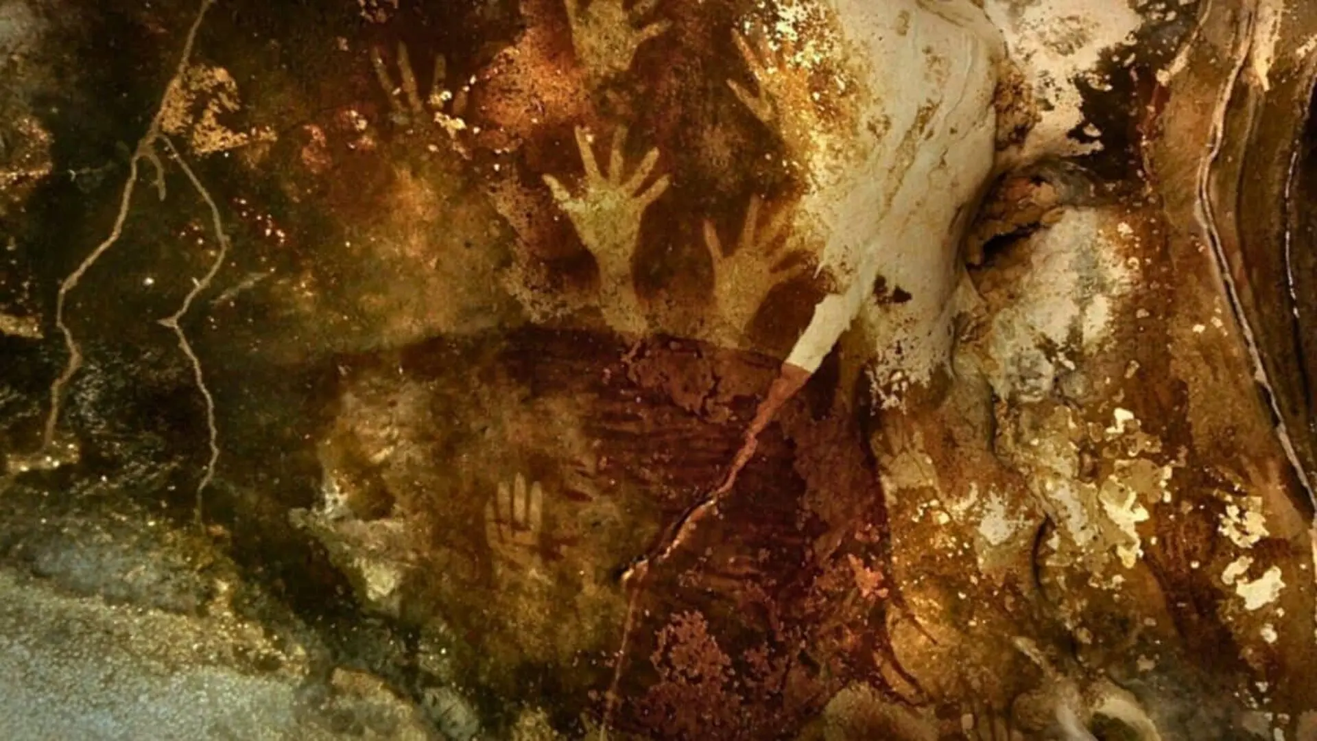 A Thin Crust Above Ancient Cave Pigment Held Human Dna Scaled