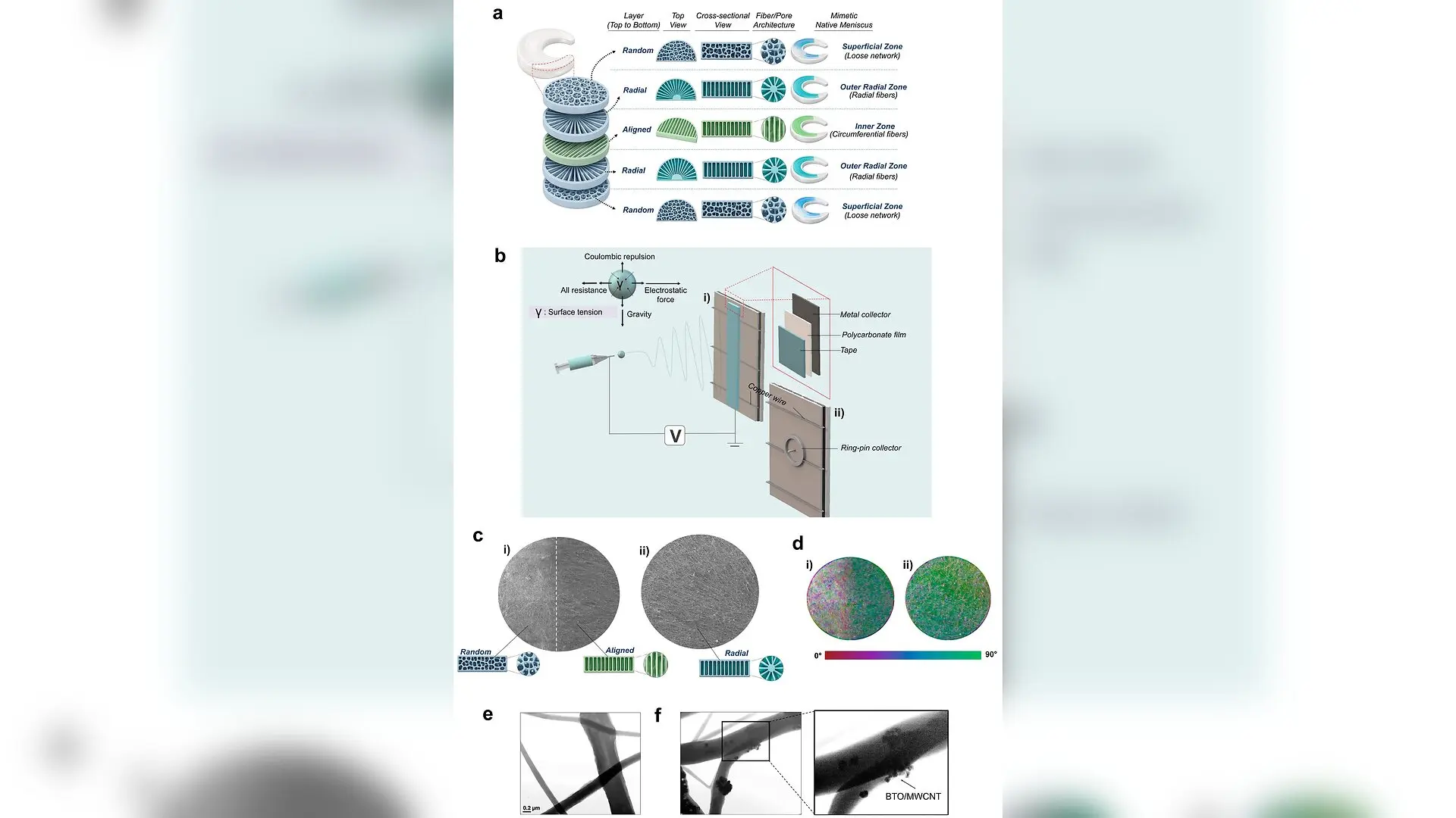 Engineered Nanofibrous Scaffolds Mimic Knee Cartilage Using Machine Learning
