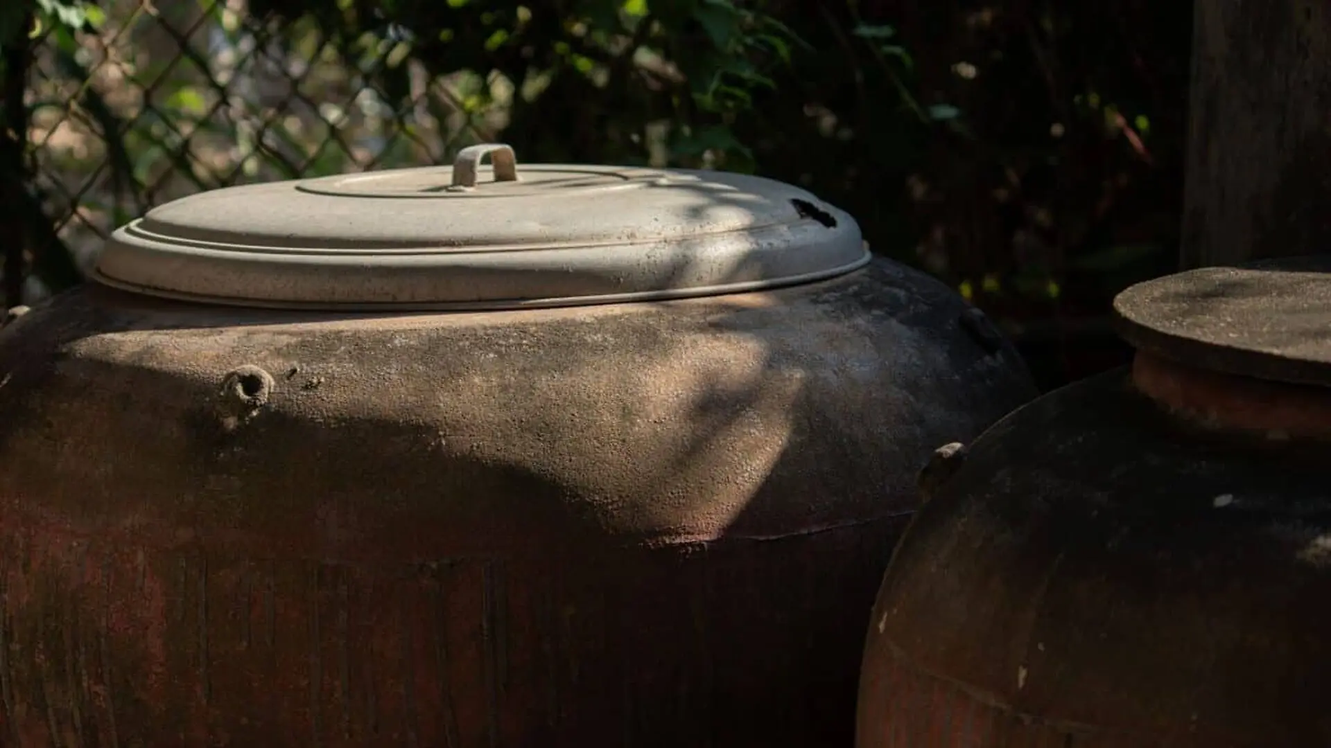 Honey Found In Ancient Egyptian Tombs Could Still Be Edible Thousands Of Years Later Heres Why Scaled