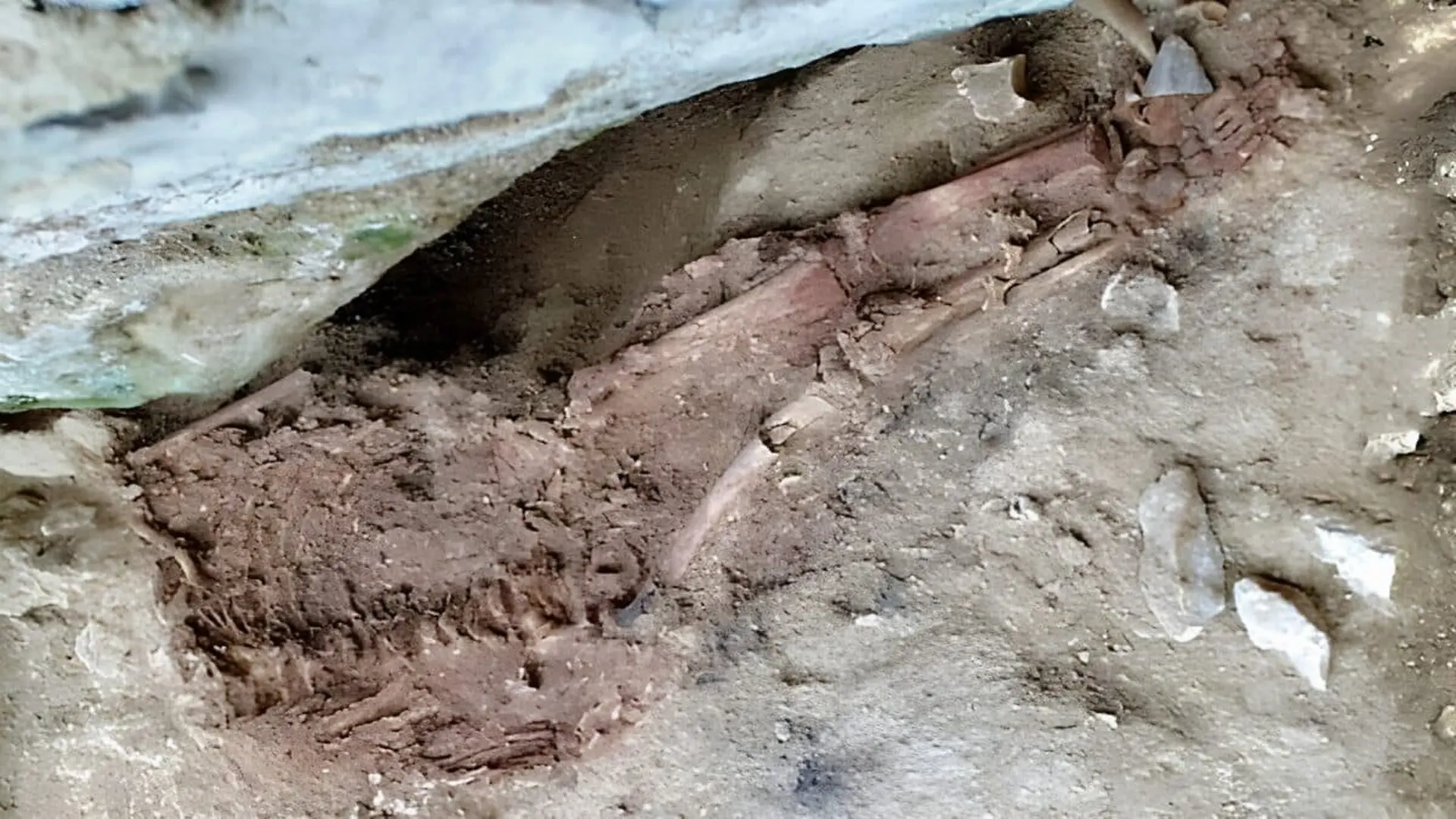 Archaeologists Found The Skeleton Of The Lapedo Child During An Excavation In Scaled