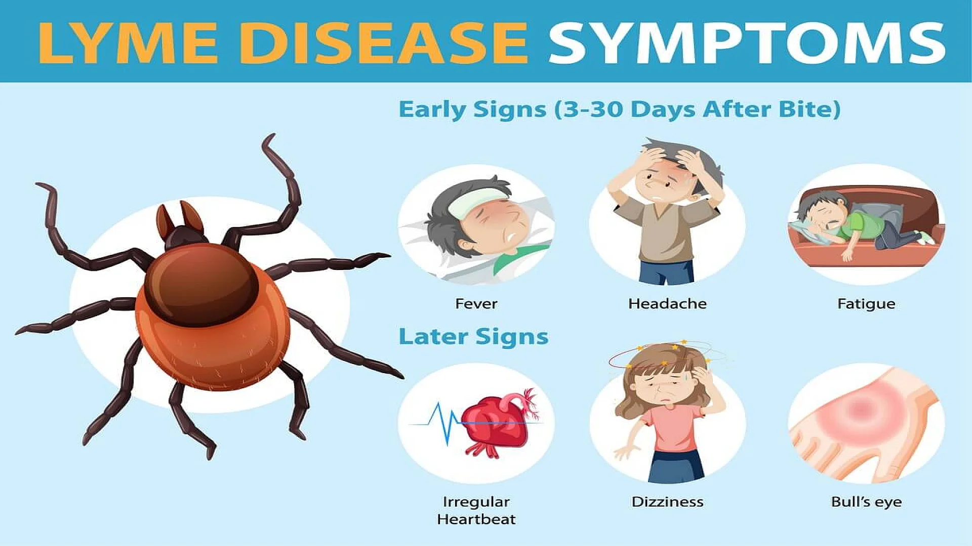 Symptoms of Lyme Disease 