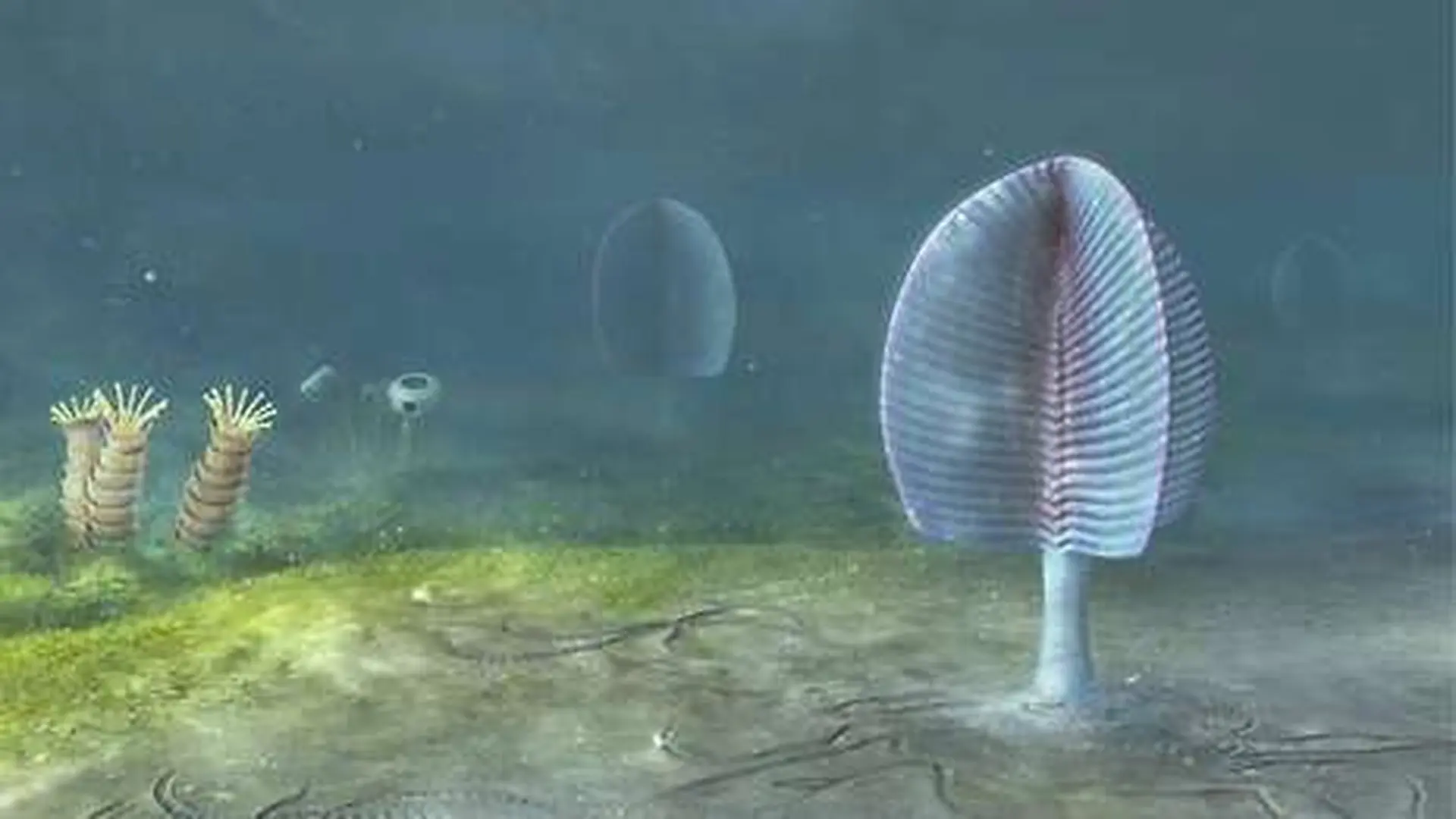 Paleontologists Found Perfectly Preserved Microfossils In Mongolia But The Animals Everyone Expected Were Missing Scaled 1