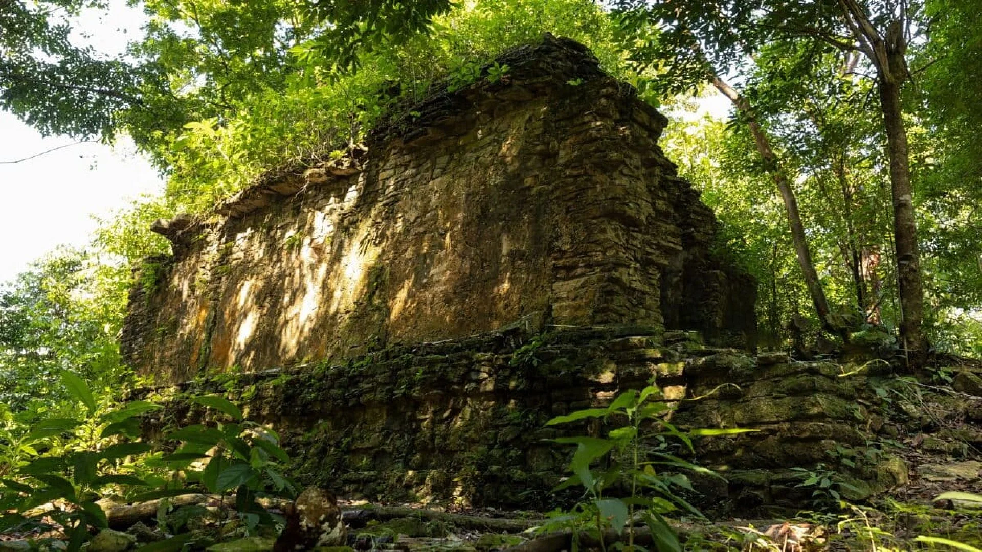 A Student Searched A Dataset On A Hard Drive And Found A Massive Lost Maya City Hidden Beneath The Jungle Scaled