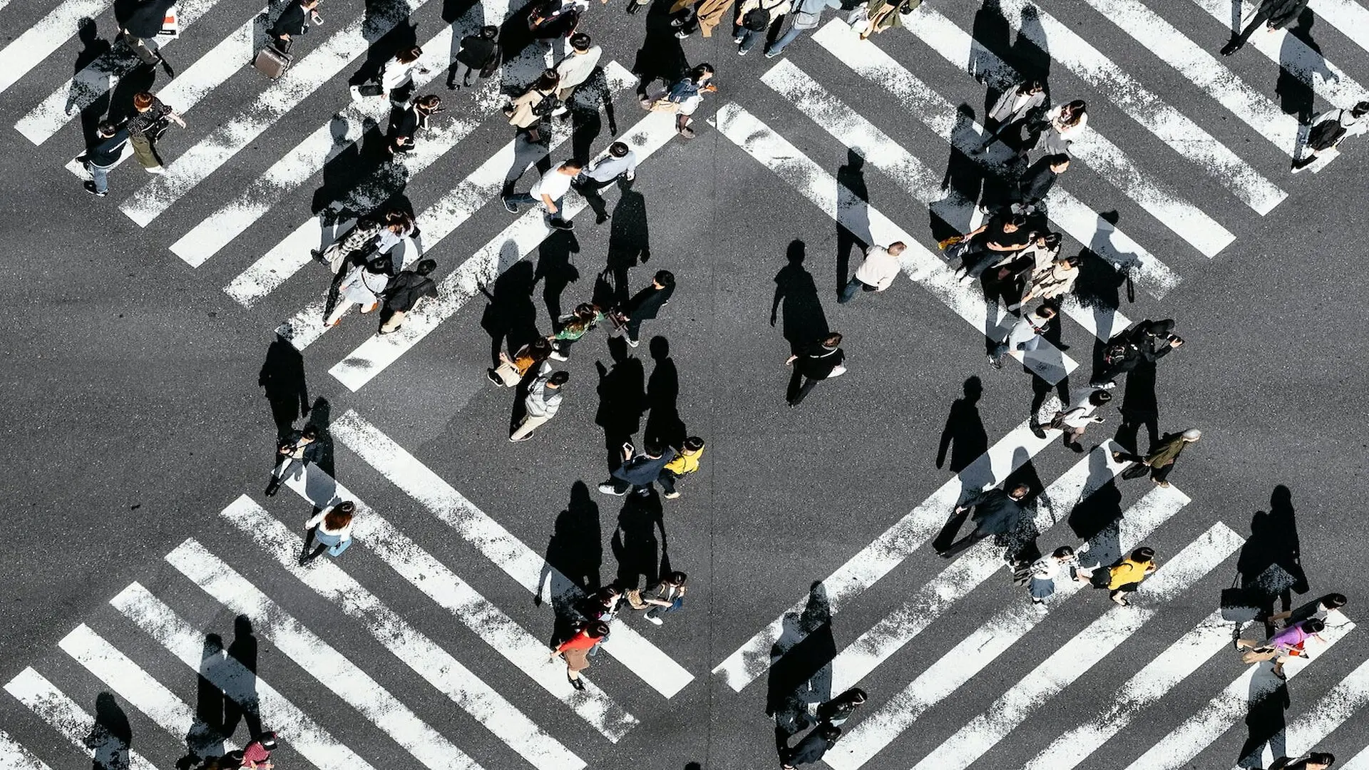 People Two Crosswalks Intersecting