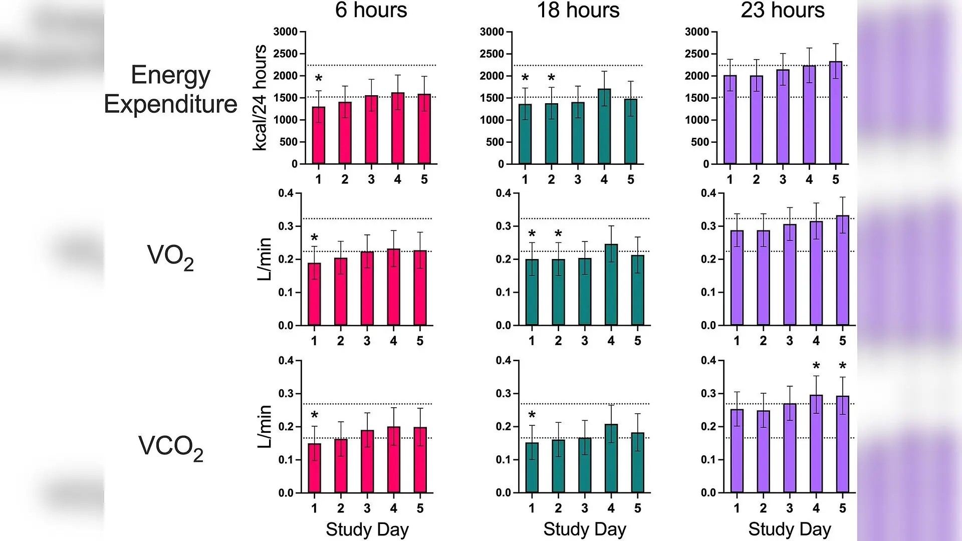Hospital Sedative Successfully Triggers Two-Day Metabolic Slump