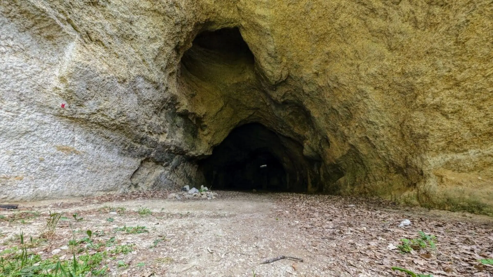 Archaeologists Scanned Ancient Bones In A Romanian Cave And Found 83 Neanderthals Turned Into Tools Scaled