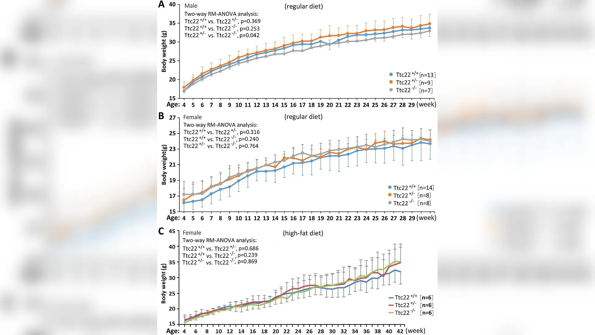 Deleting the Ttc22 Gene in Mice Surprisingly Leaves Health Unchanged