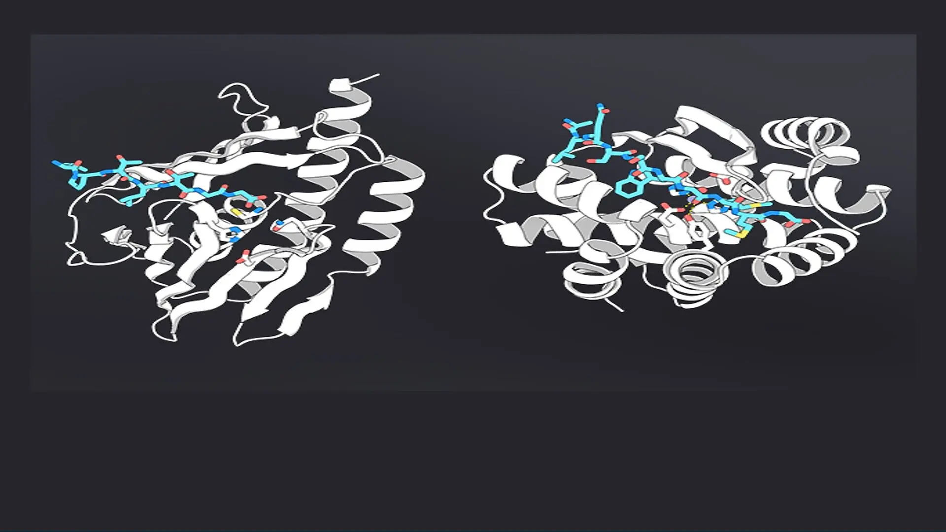 Ai Designed Proteases 7