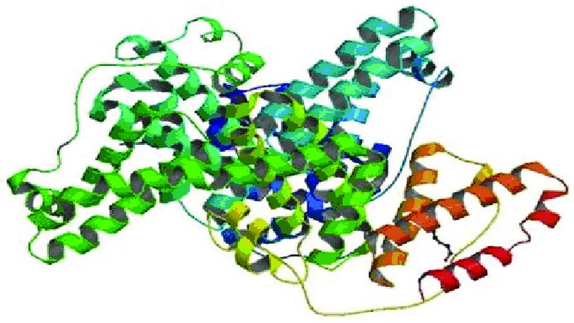 Crystal Structure of Bovine Serum Albumin.