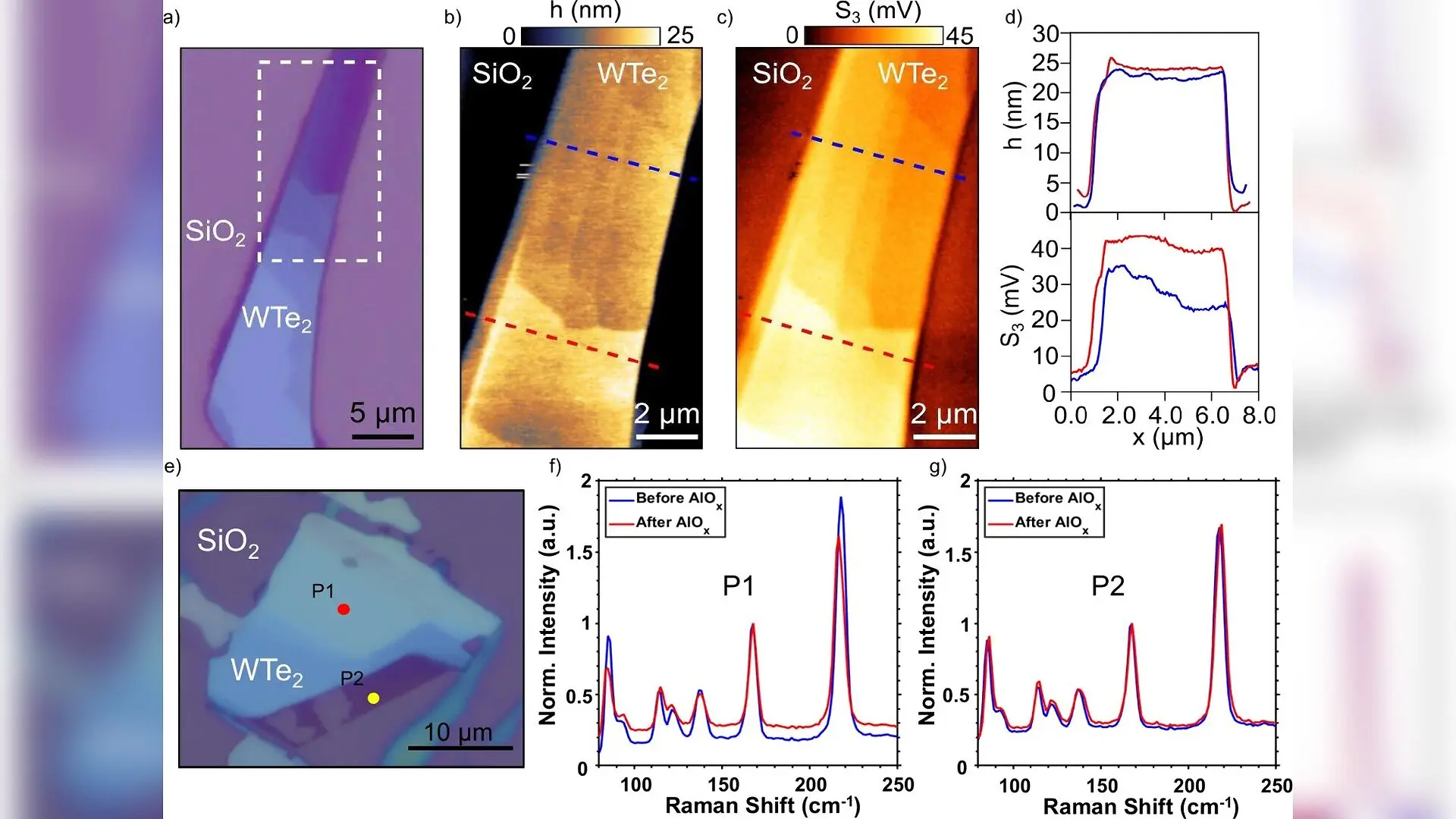 New Technique Protects Fragile Quantum Materials Without Complex Stacking