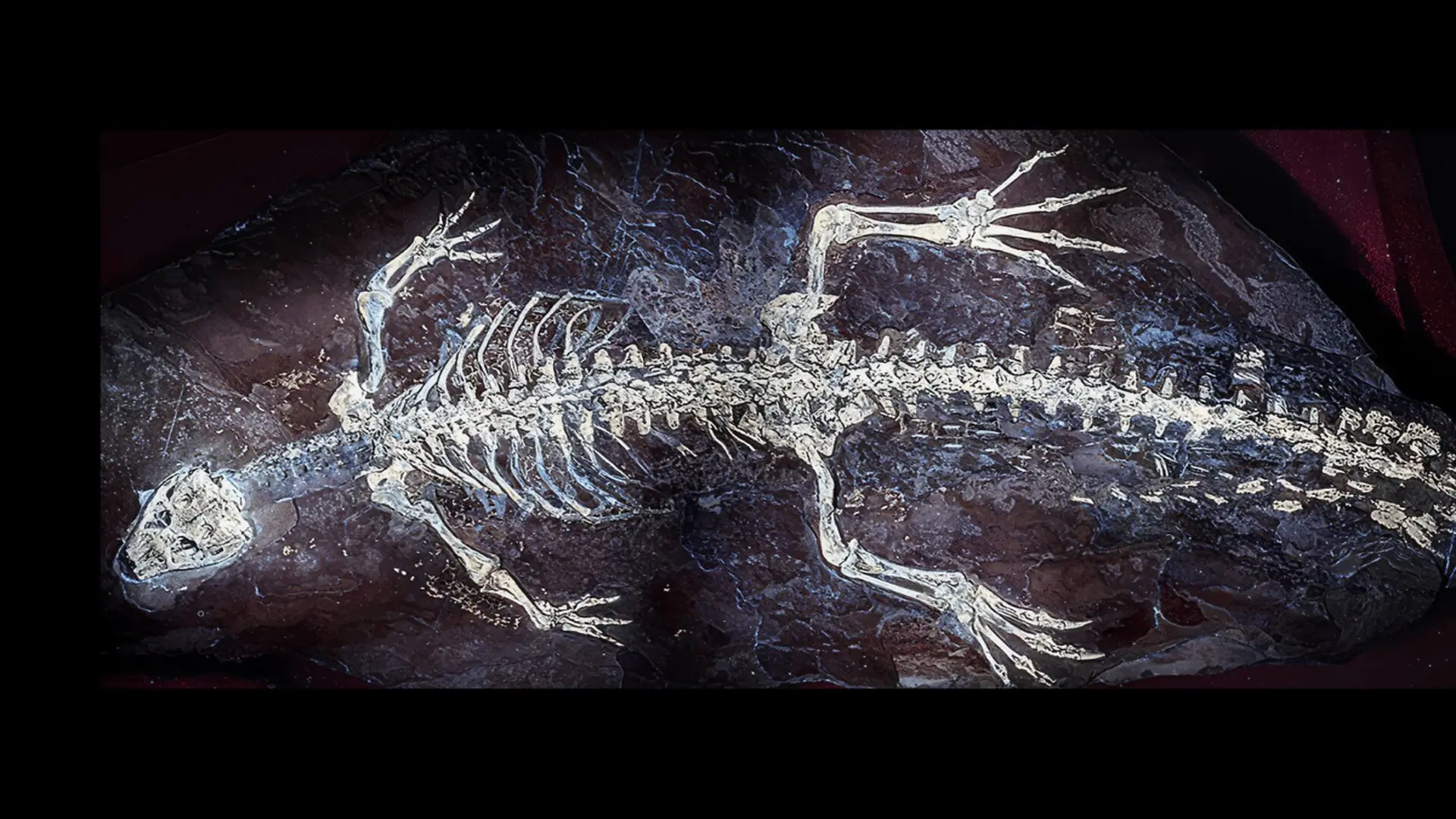 Scientists Uncover 125 Million Year Old Crocodile Skin Hidden In Plain Sight For Over A Century Scaled