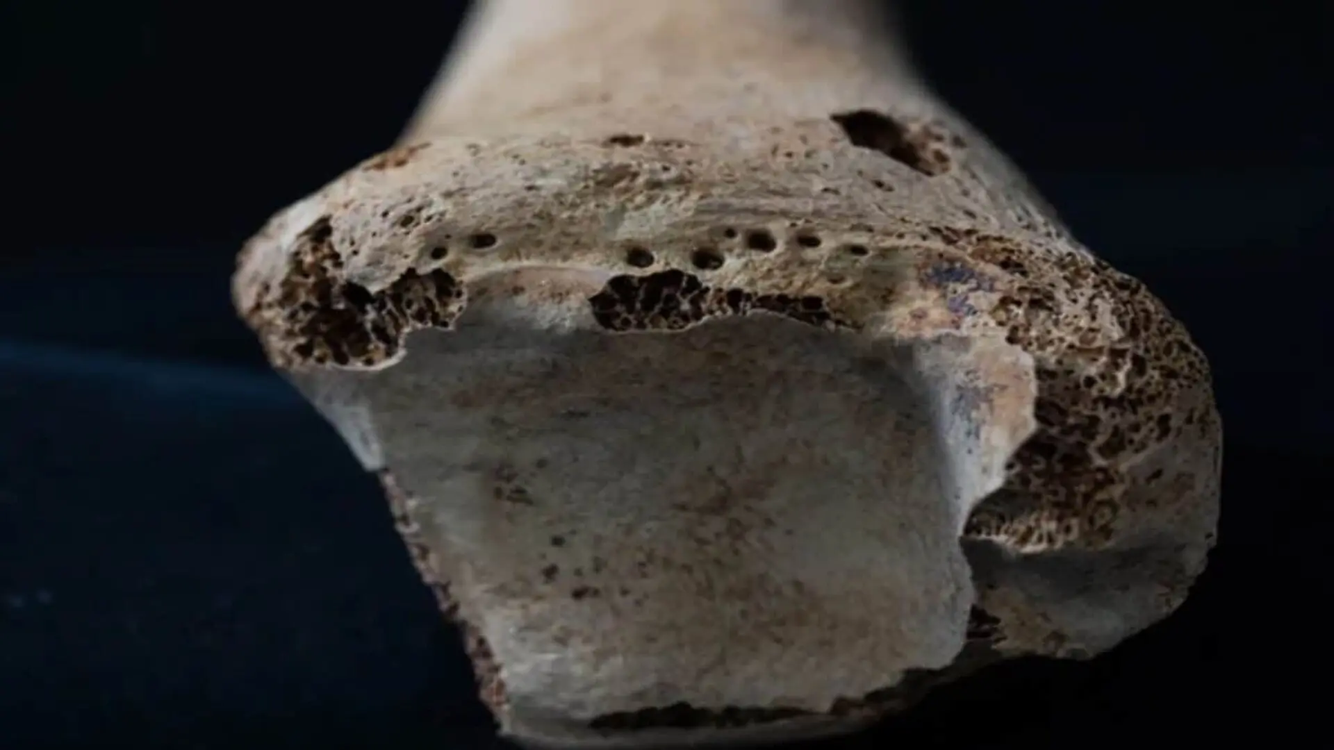 These Egyptian Princesses Were Buried With Weapons Their Bones Prove Why Scaled
