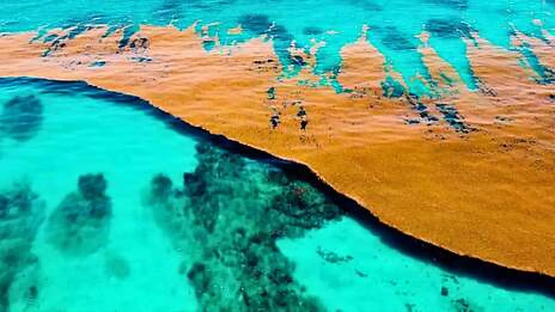 The Sargasso Sea Is Unlike Any Other Sea On Earth Scaled