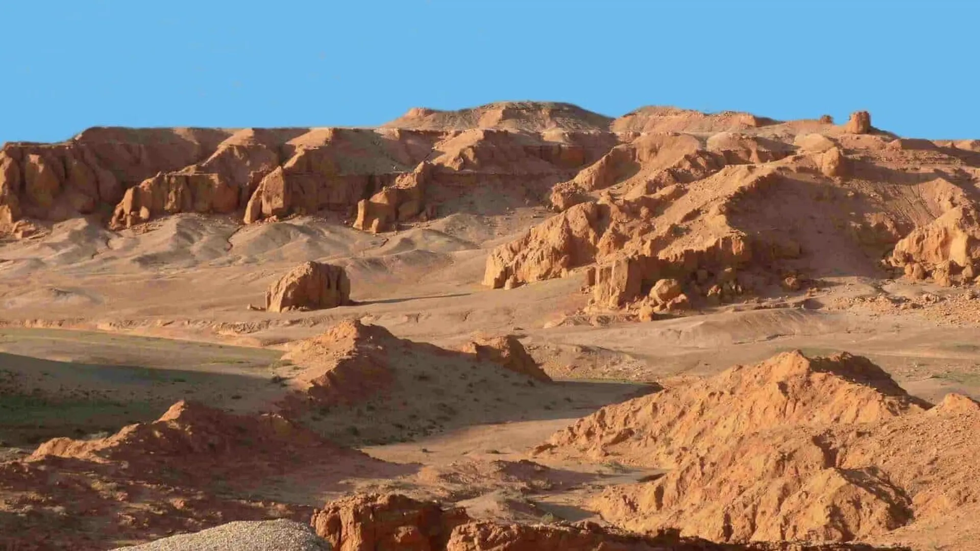 The Gobi Desert Was Once A Humid Floodplain Ruled By A Dinosaur Weighing Over Five Tons And Its Stolen Fossils Are Back Scaled