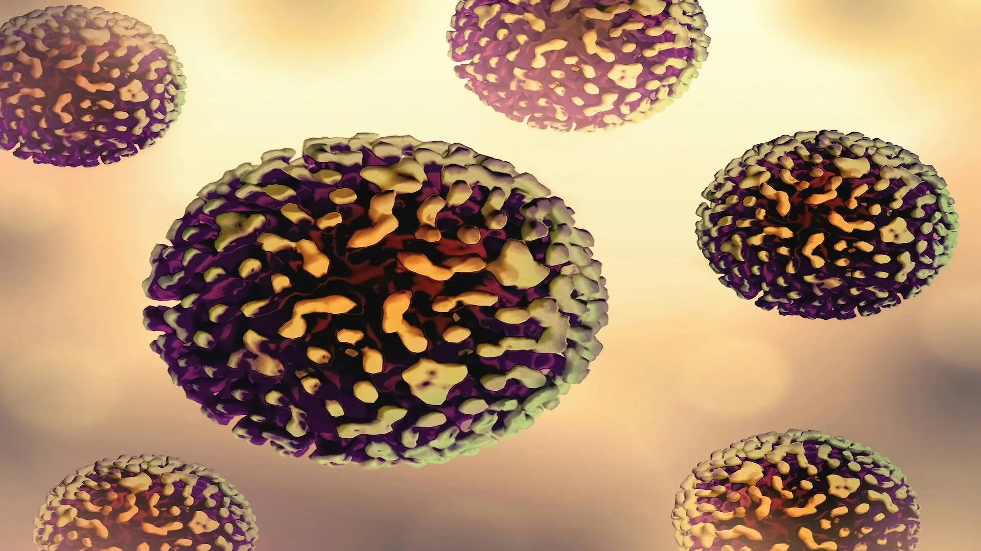 Hepatitis B Virus National Institute Of Allergy And Infectious Diseases
