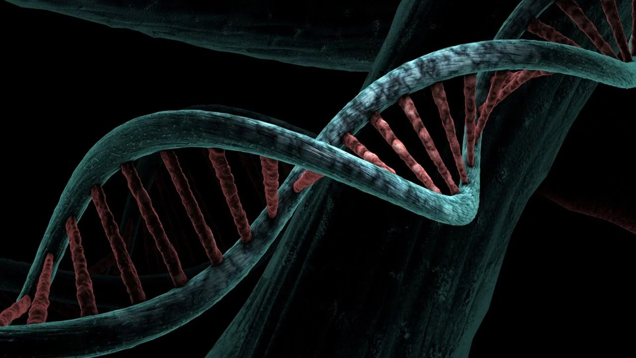 A stylized close-up of a DNA double helix with blue-green backbones and reddish-pink rungs, set against a dark, textured background.