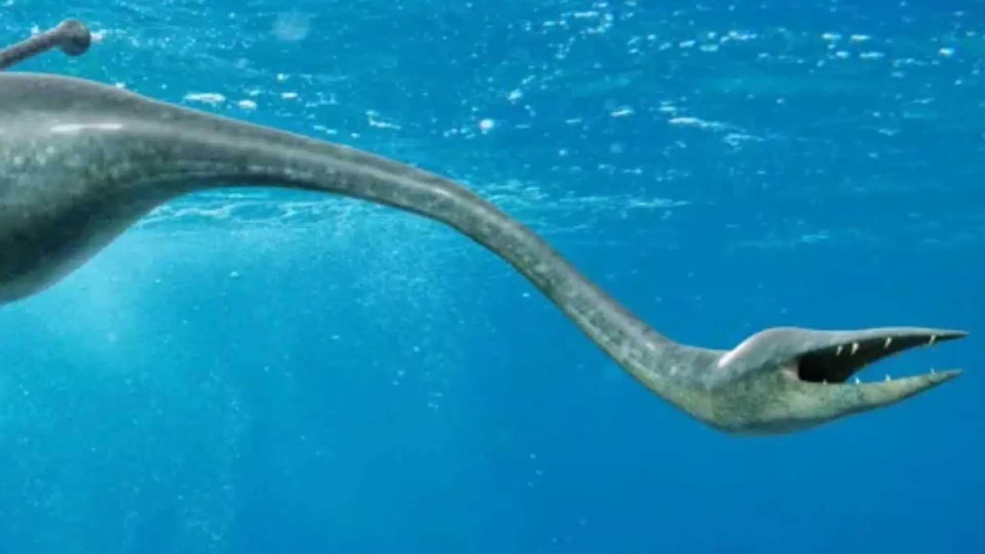 It Looks Like A Sci Fi Reject This 300 Million Year Old Creature Has Baffled Scientists Since With Eyes On A Bar And A Pincer On Its Neck Scaled 1