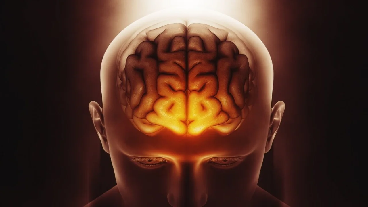 Image of a male figure with brain highlighted