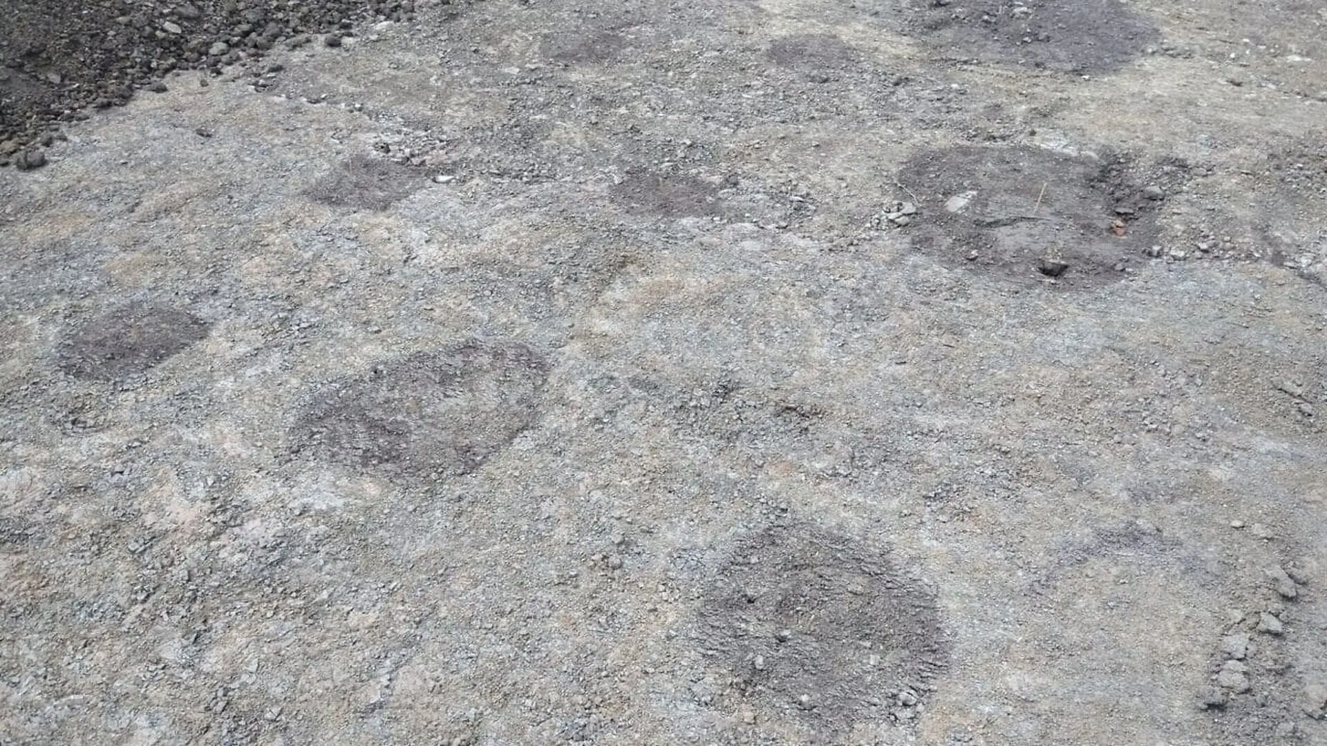 Archaeologists Were Digging In A German Field For A Wind Project And Found A Medieval Town Lost For 600 Years Scaled