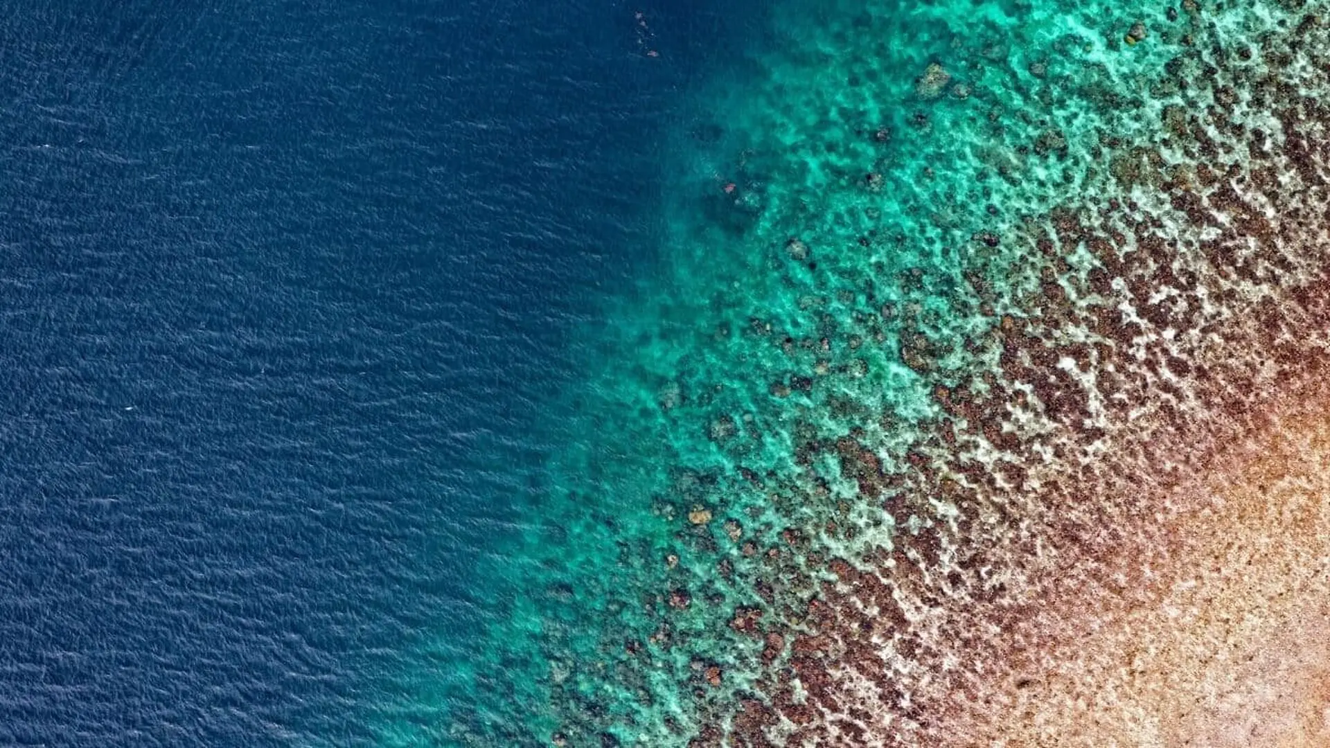 Aerial View Of The Ocean Scaled